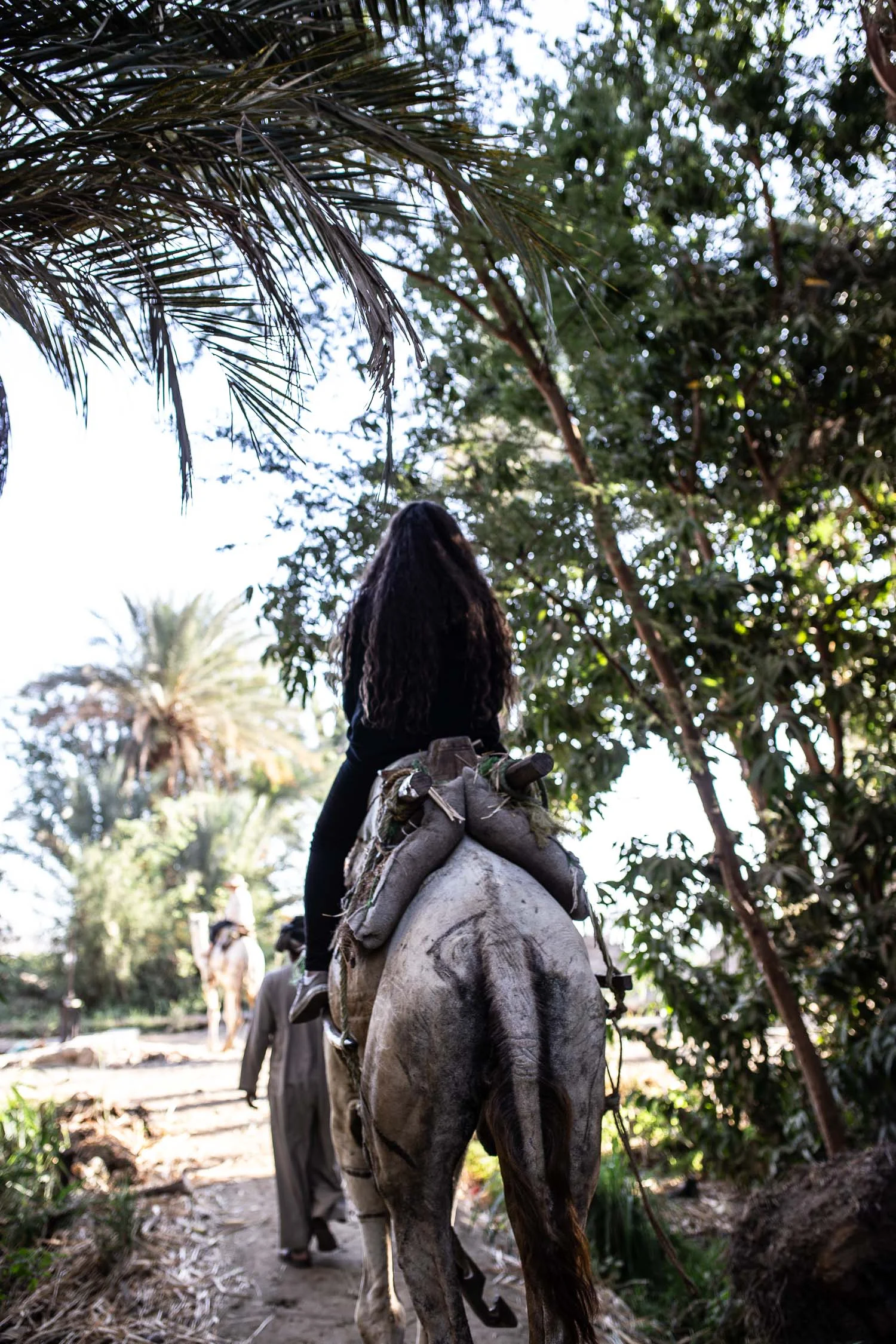 Egypt-8089.jpg