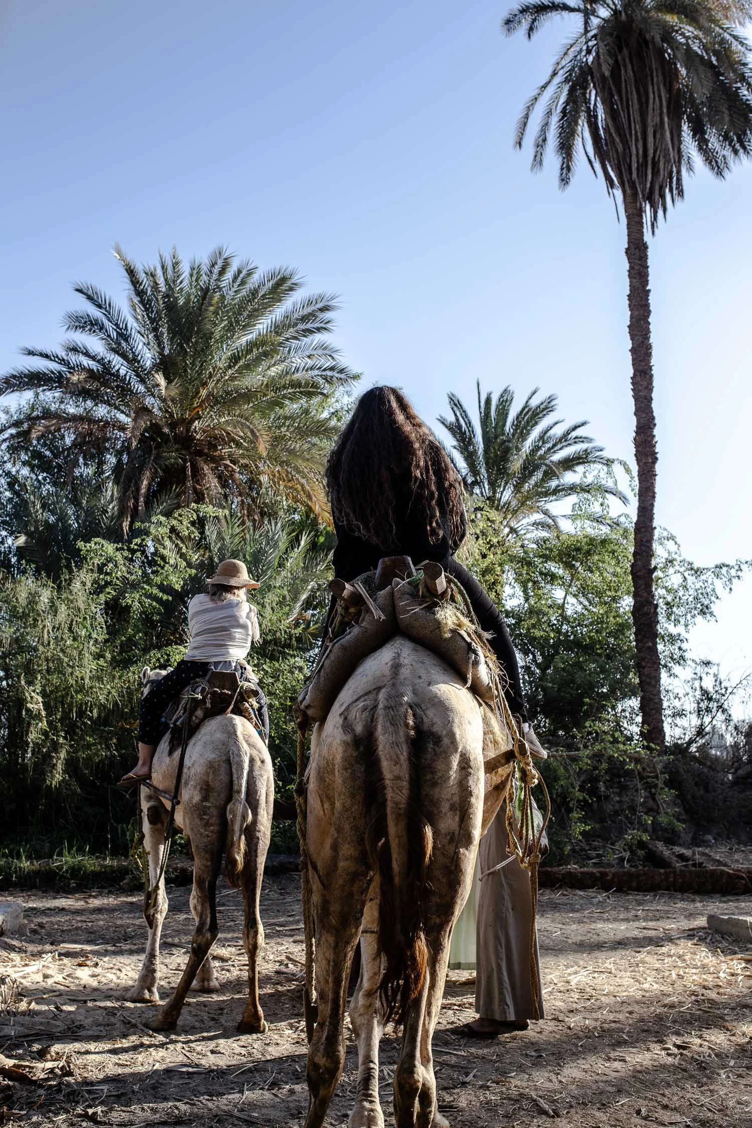 Egypt-8092.jpg