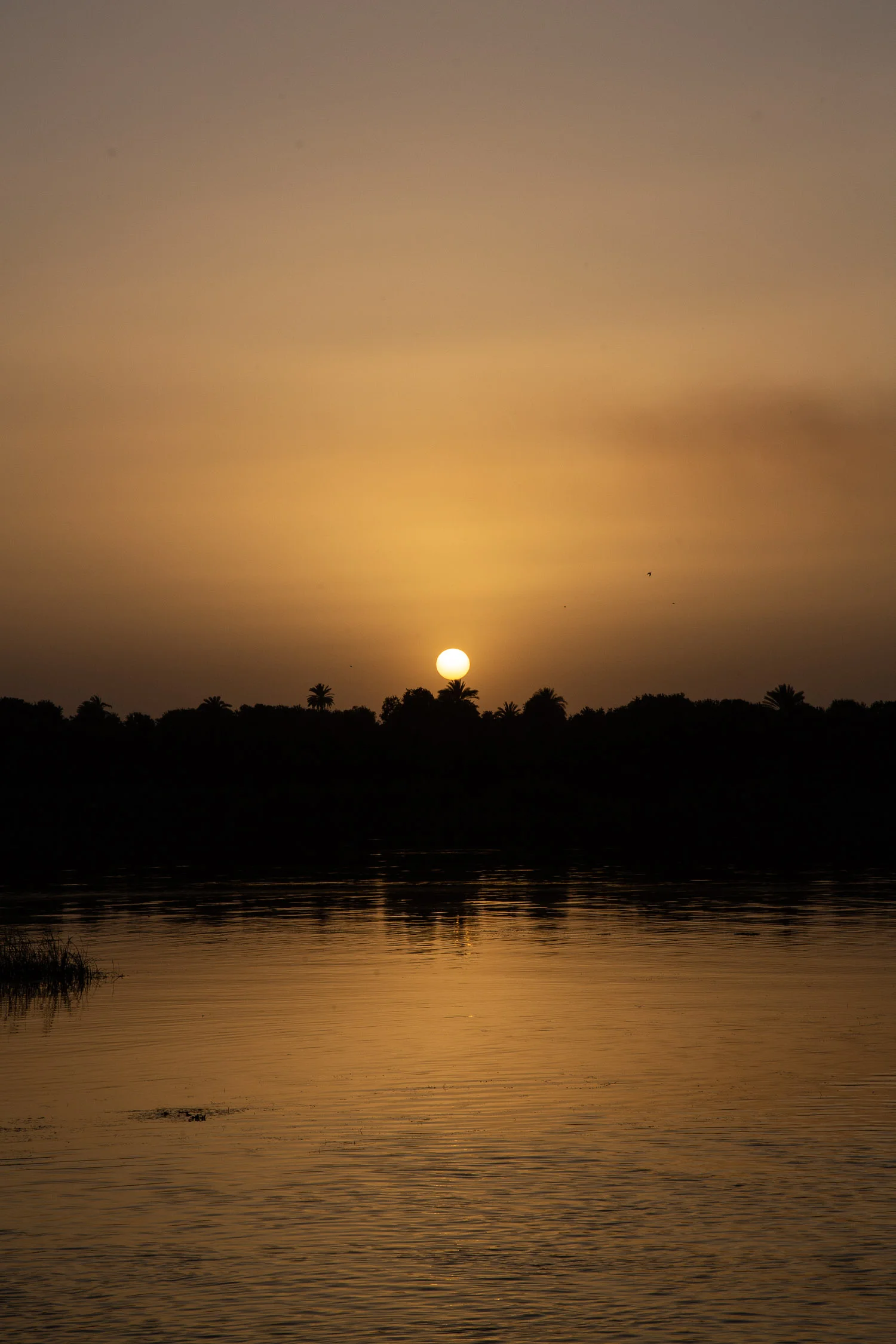 Egypt-8825.jpg