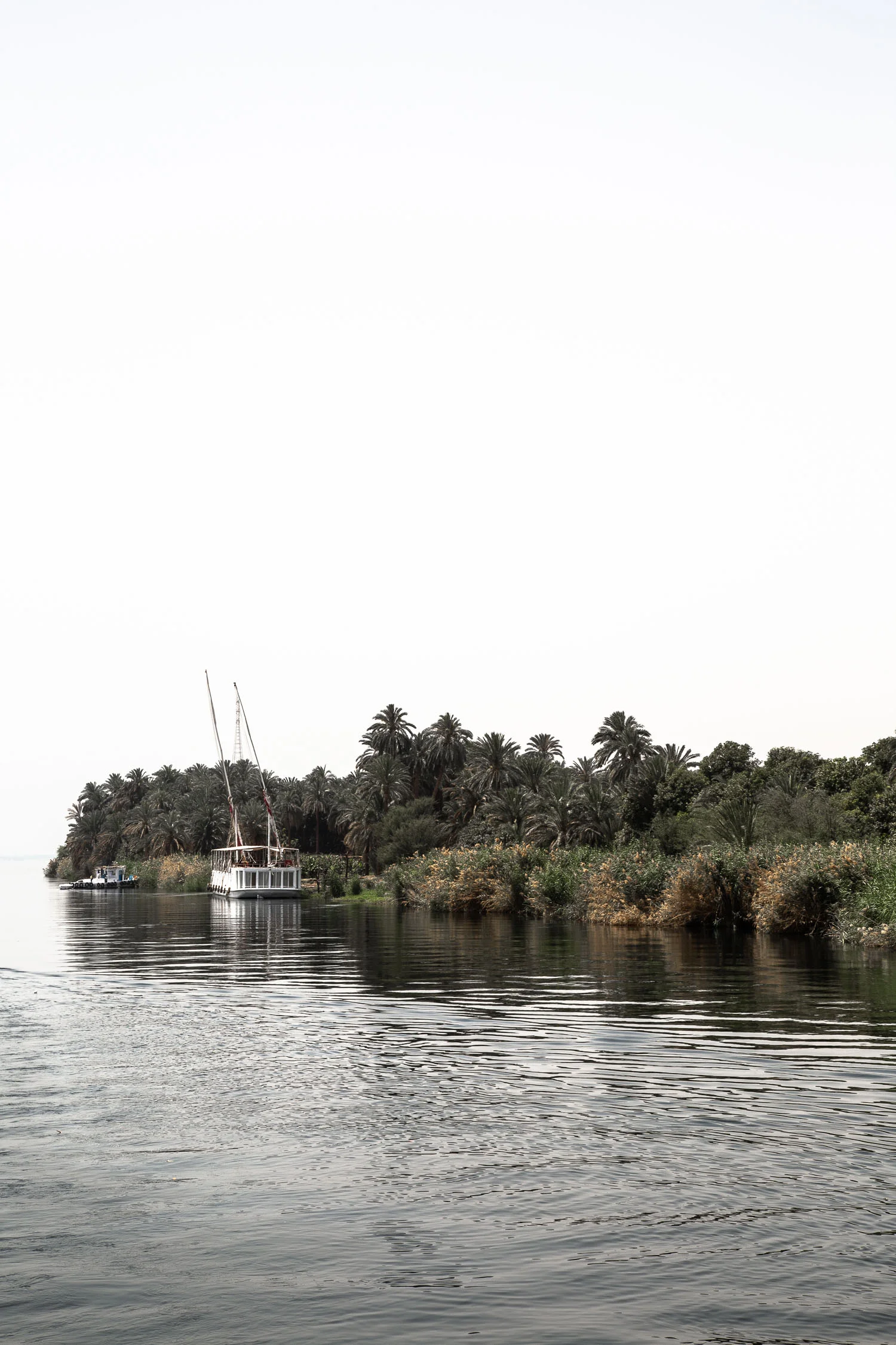 Egypt-9878.jpg