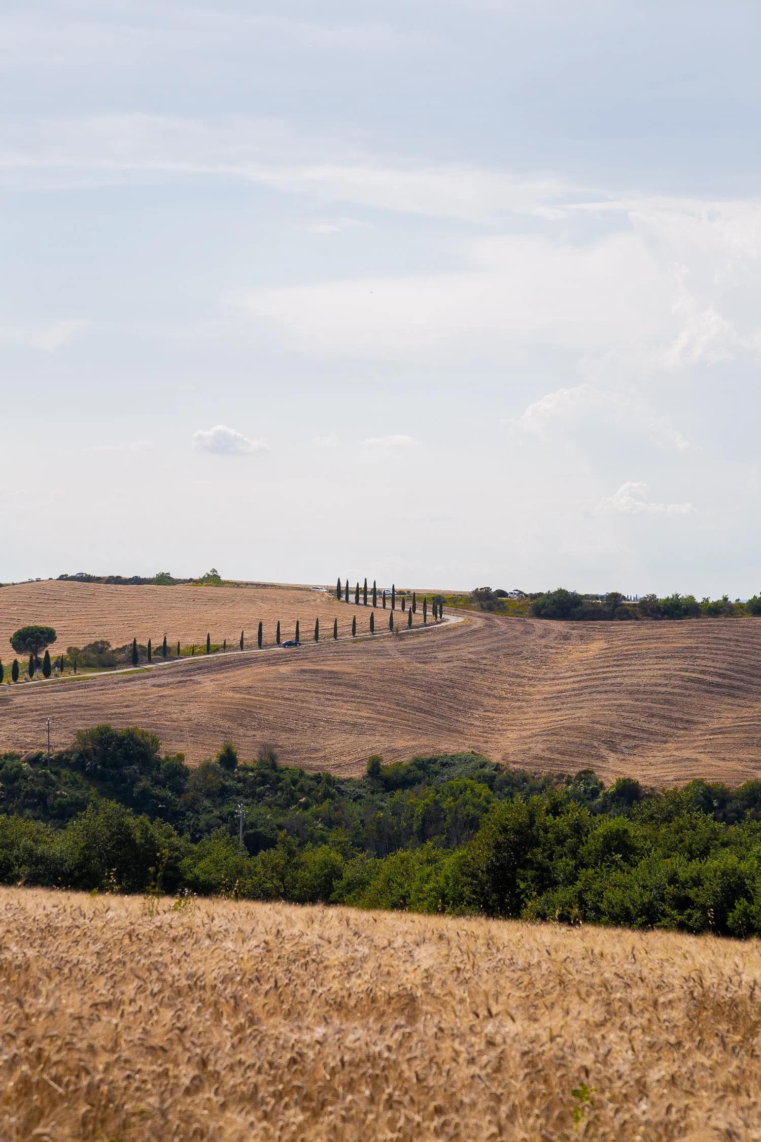 Tuscany-countryside-5252.jpg