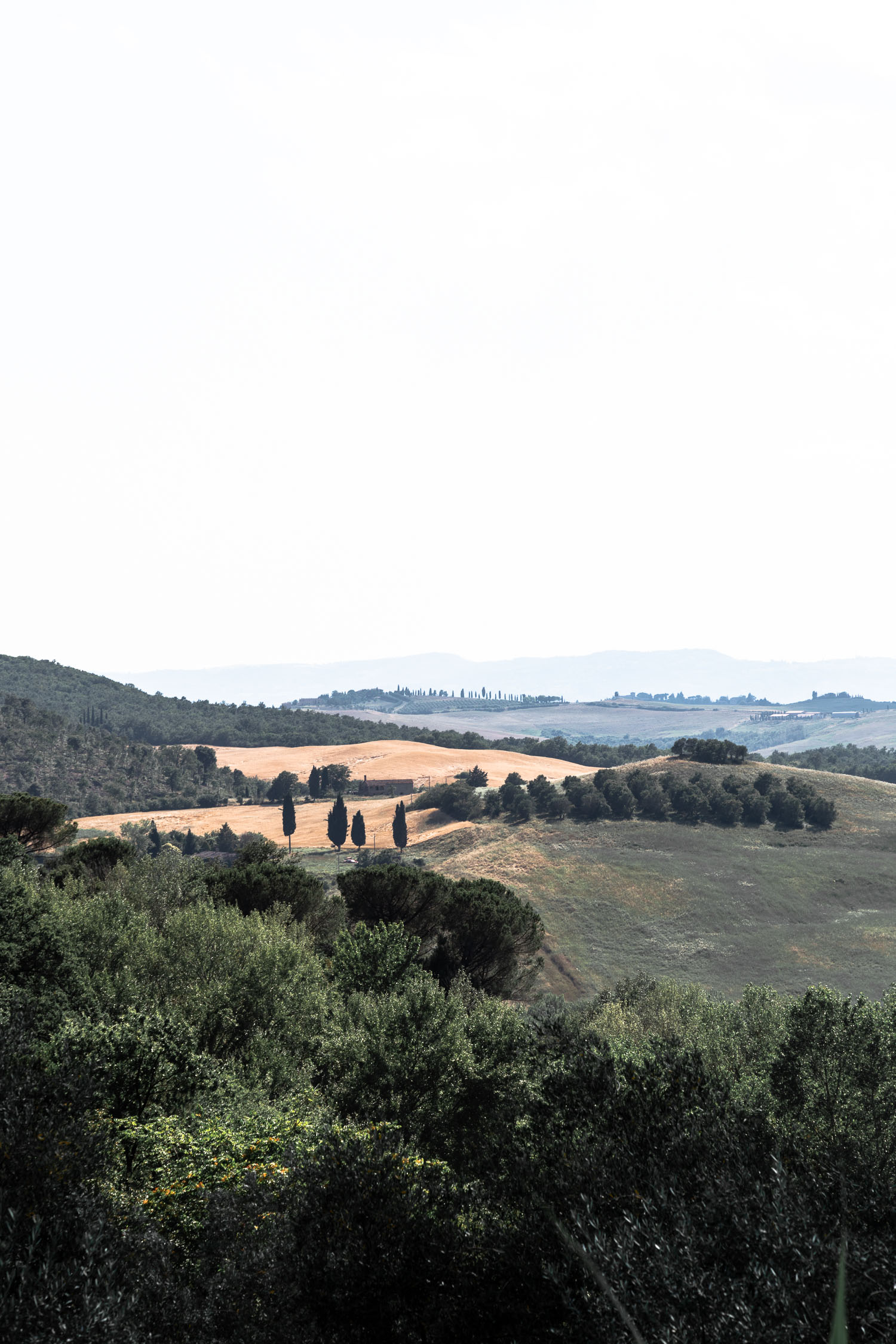 Tuscany-countryside-5415.jpg