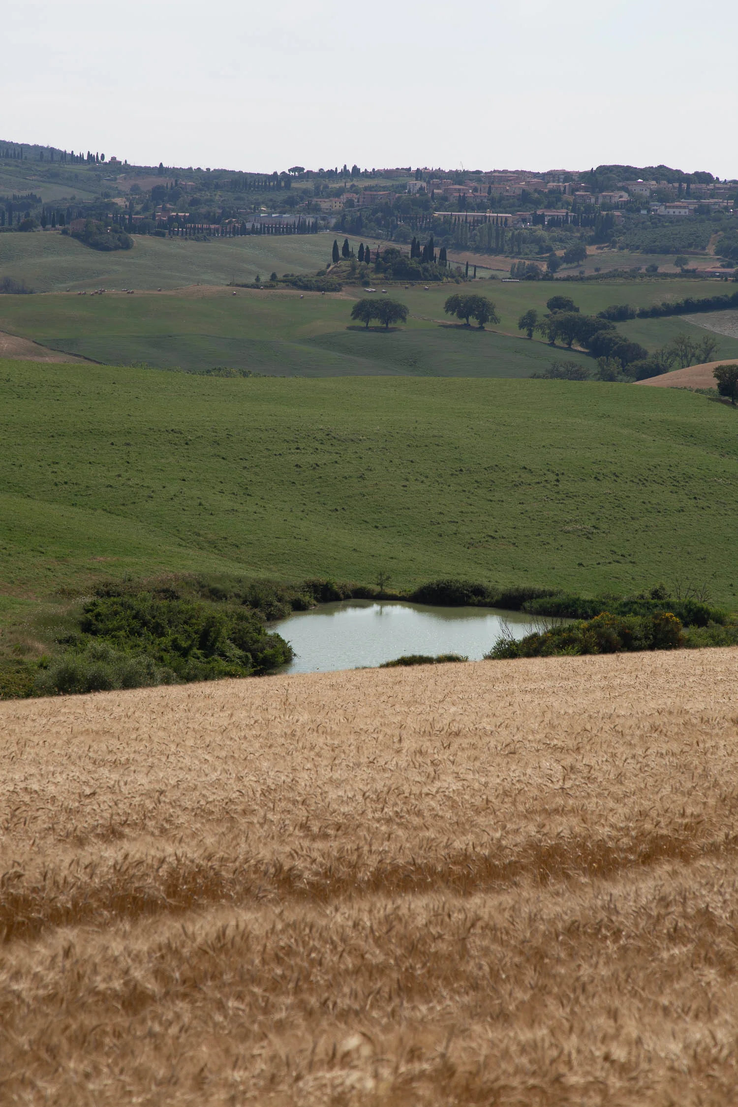 Tuscany-countryside-and-lake-5209.jpg