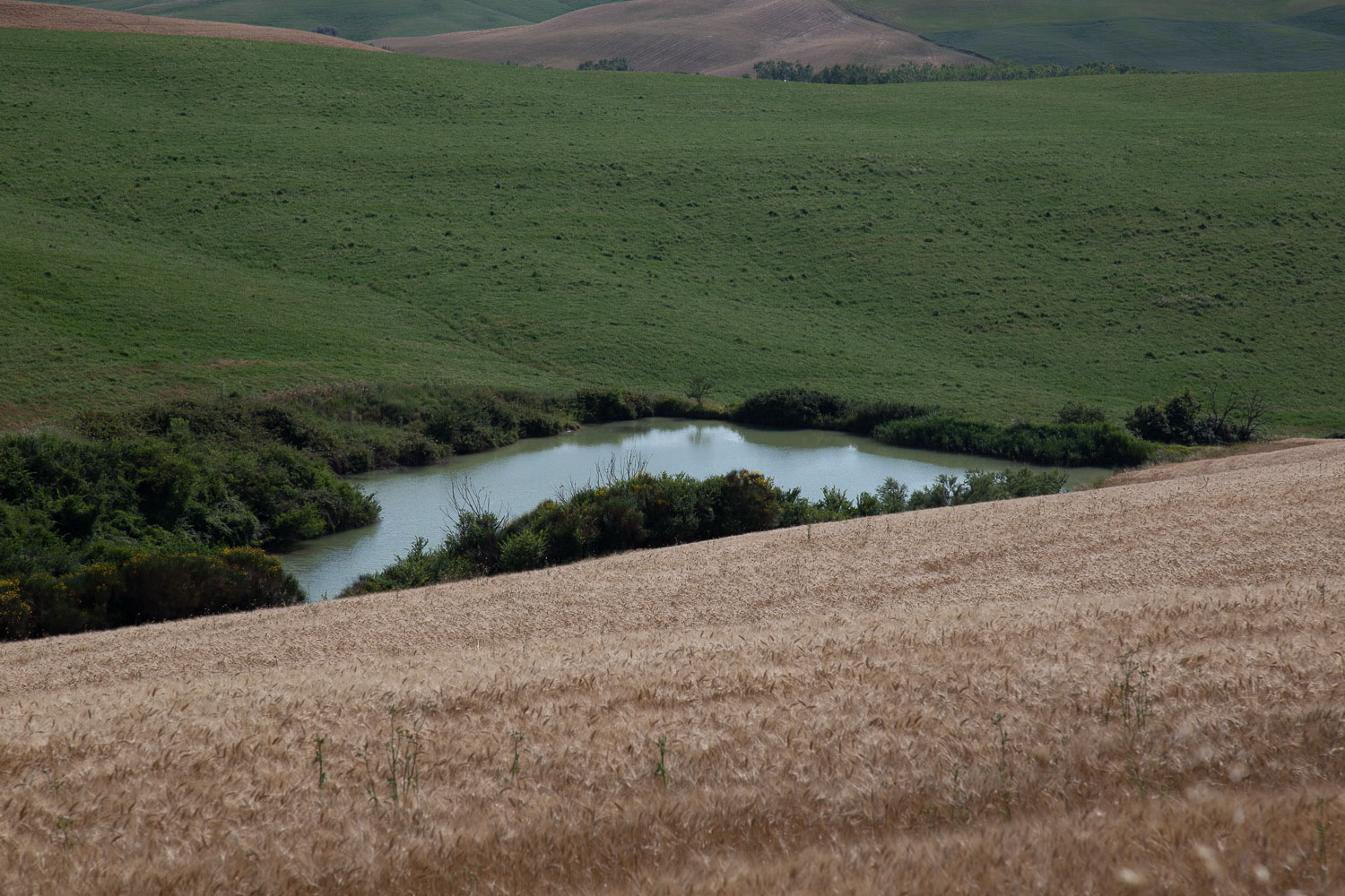 Tuscany-countryside-with-lake-5225.jpg