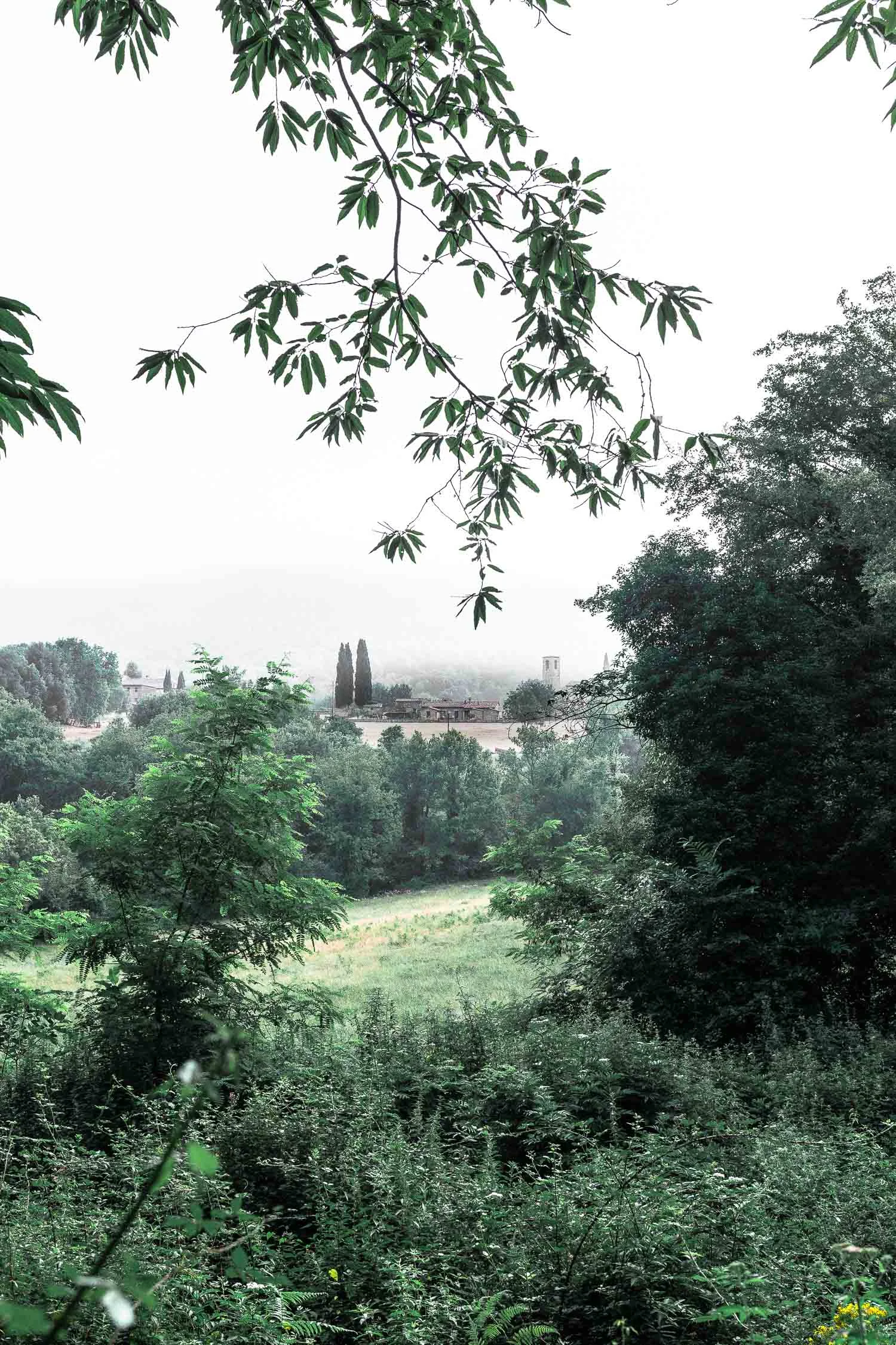 Tuscany-landscape-4271.jpg