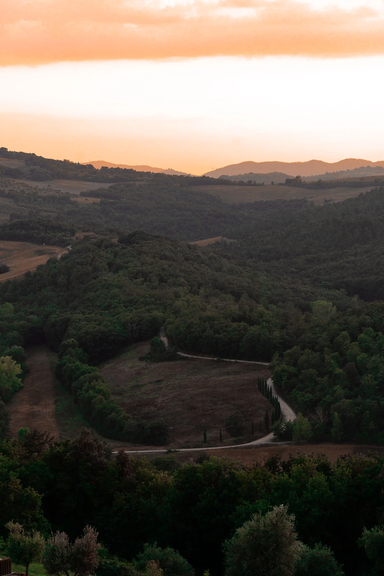 Tuscany-landscape-winding-road-01895.jpg