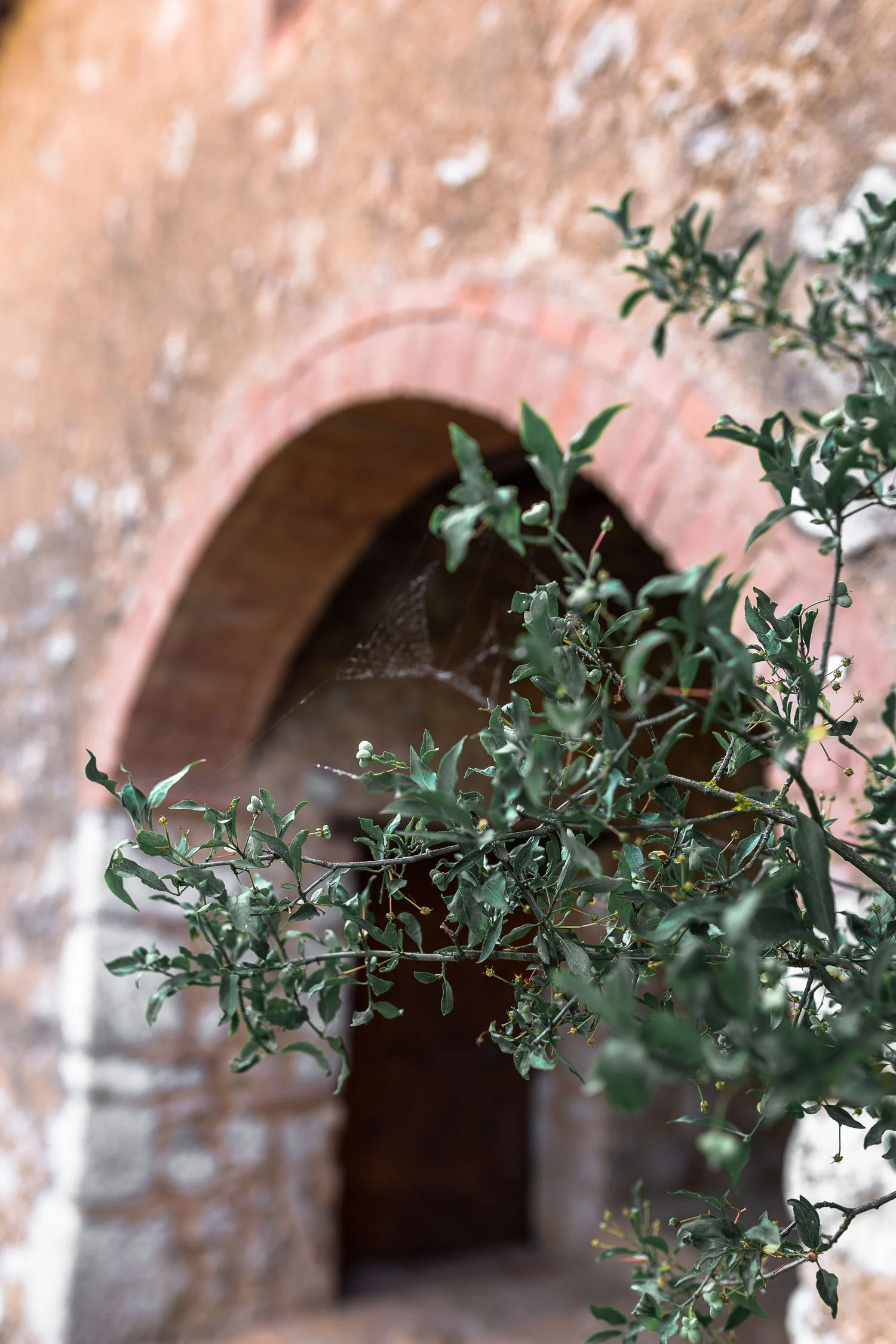 Tuscany-Simignano-4090.jpg