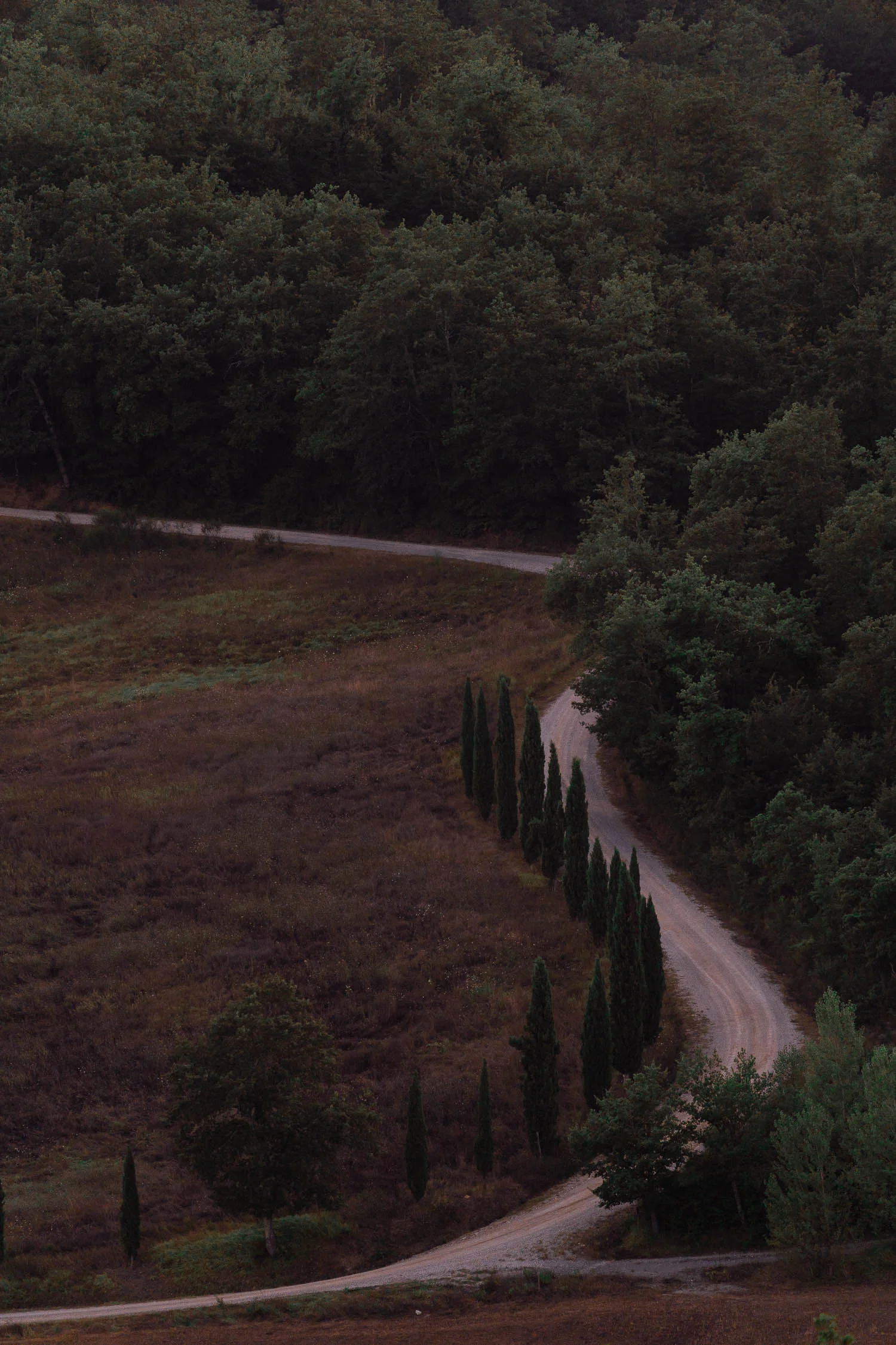 Tuscany-winding-road-01897.jpg