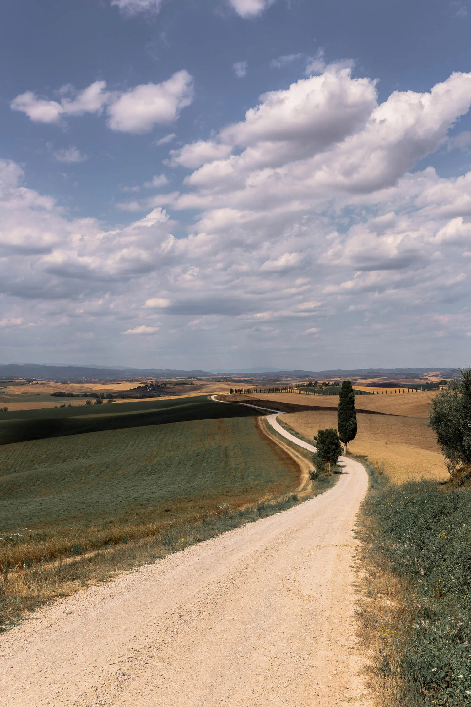 Tuscany-winding-road-4891.jpg
