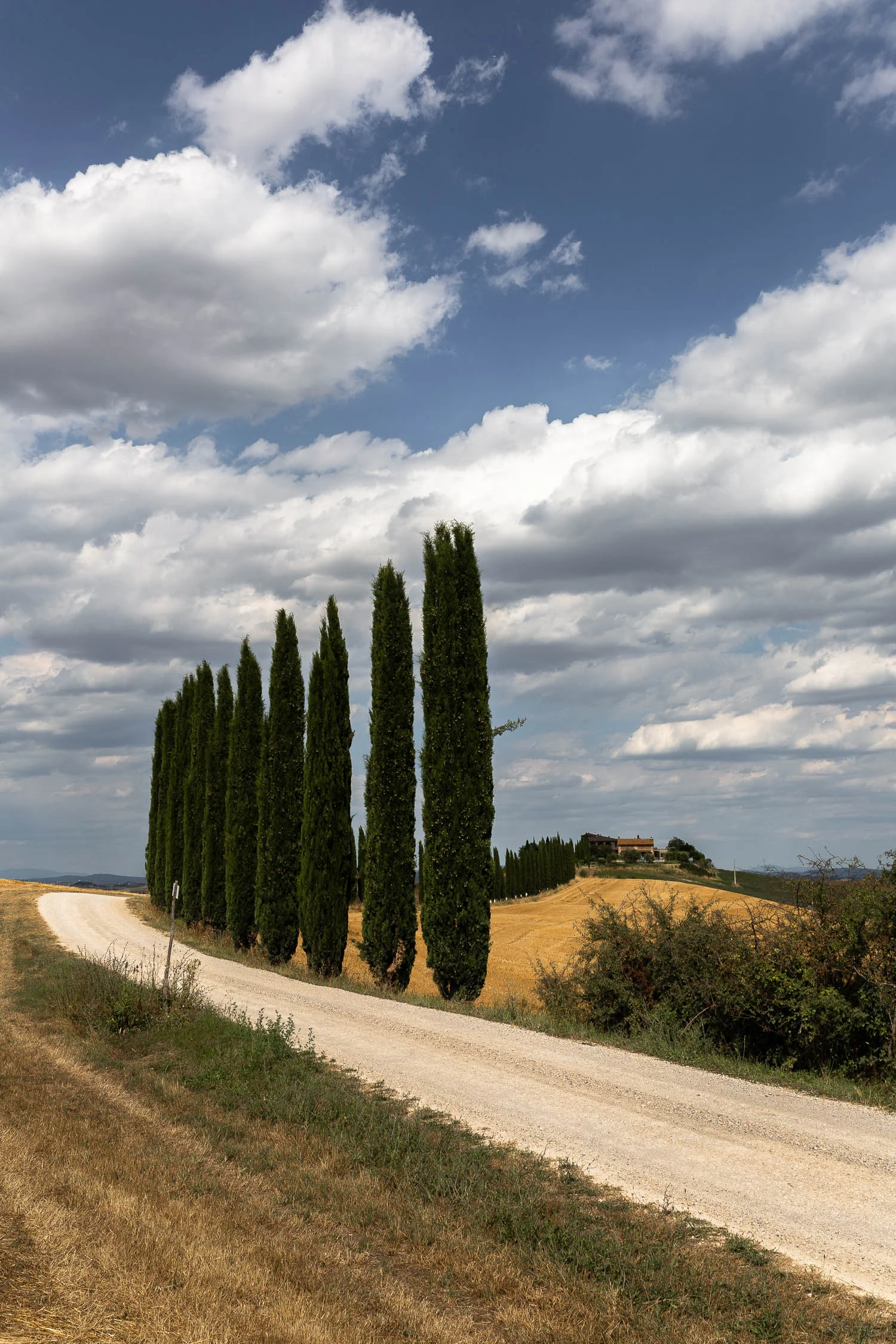 Tuscany-winding-road-and-cypresses-4920.jpg