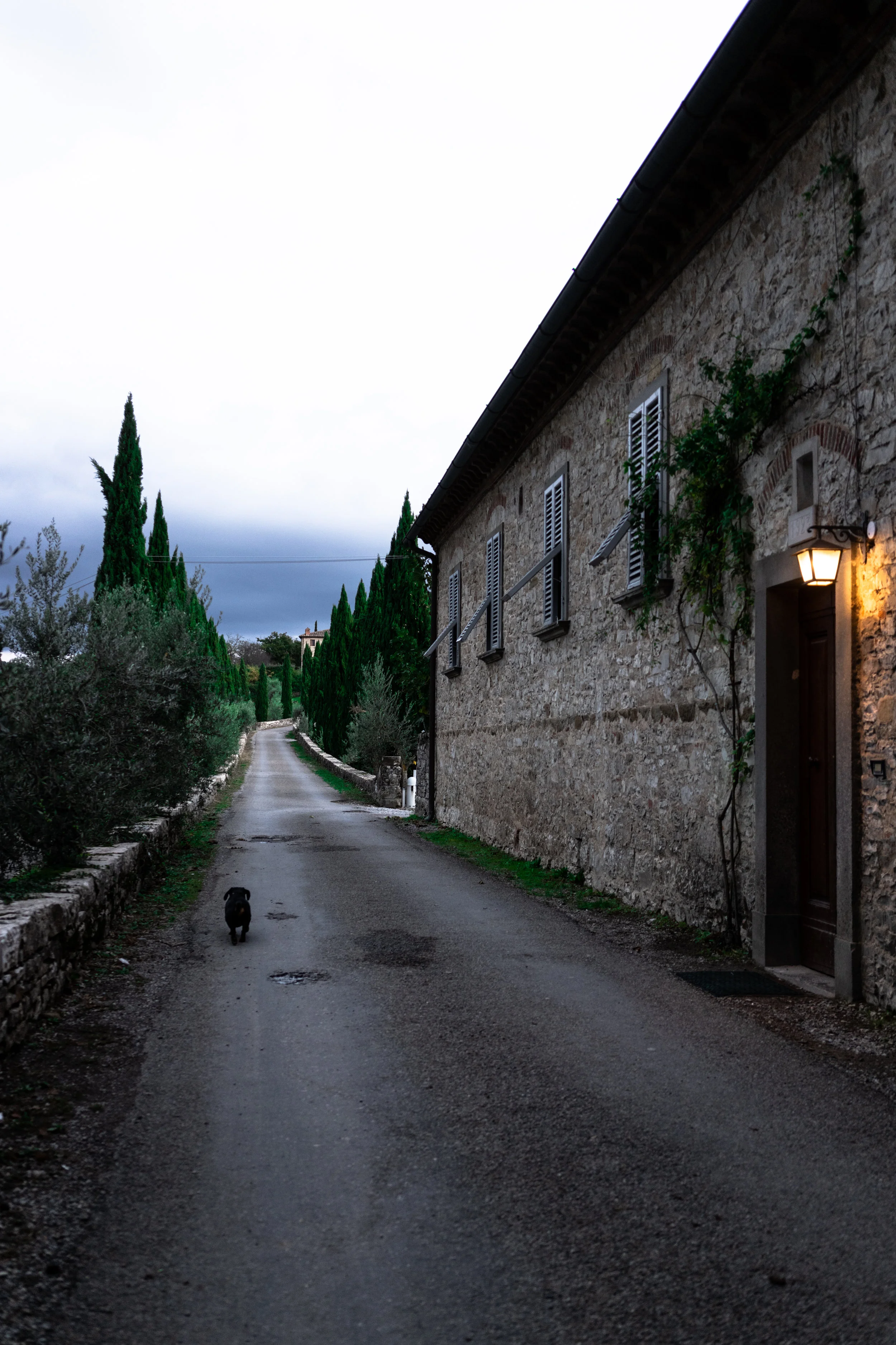 Evening walk at Castello di Meleto
