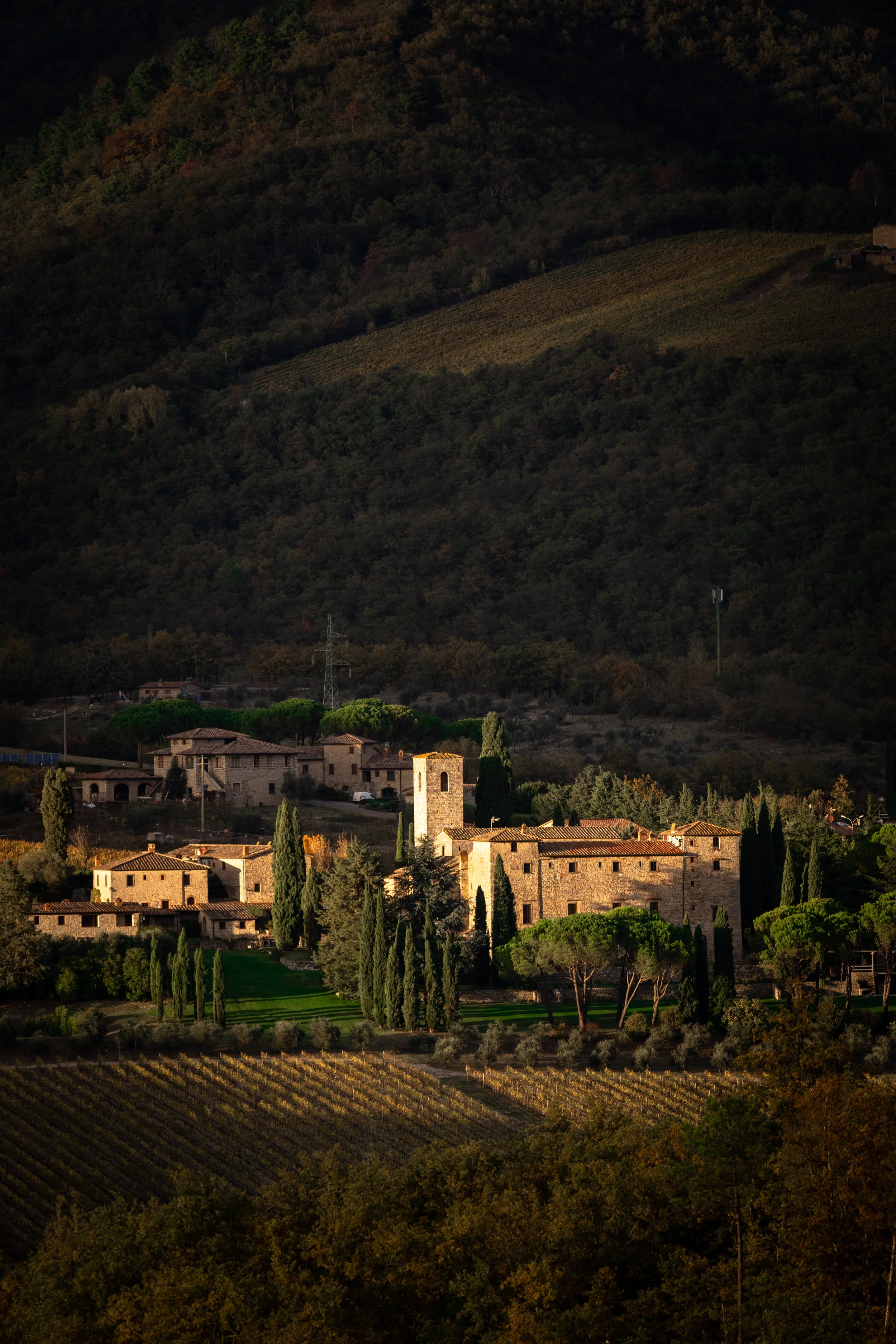 Tuscan countryside vineyards outside Siena