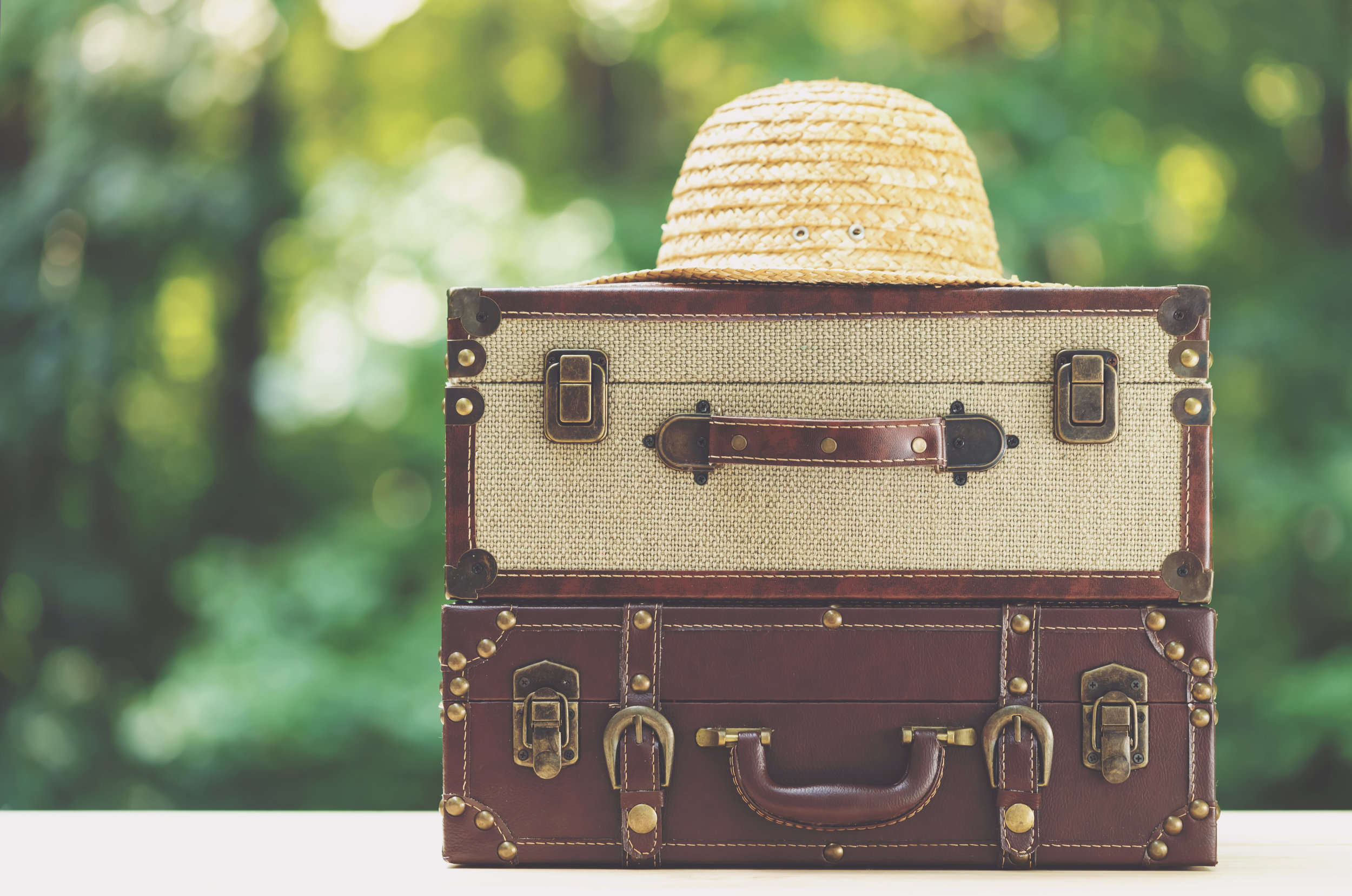 Two pieces of luggage on a shiny green forest background