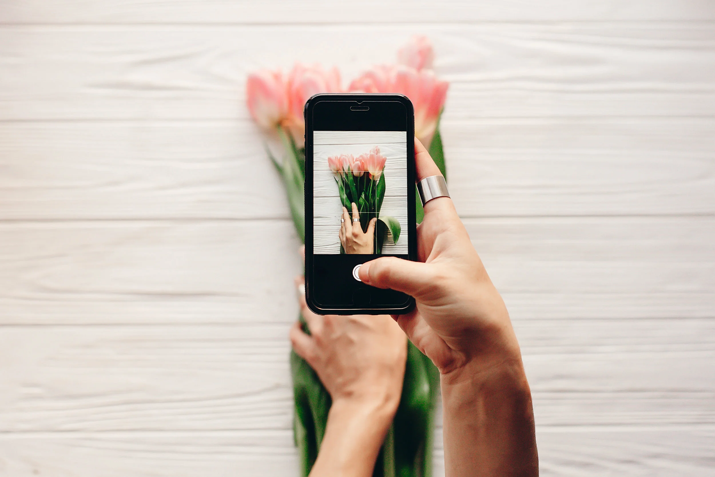instagram photographer, blogging workshop concept. hand holding phone and taking photo of stylish flower flat lay. pink tulips on white wooden rustic background.space for text