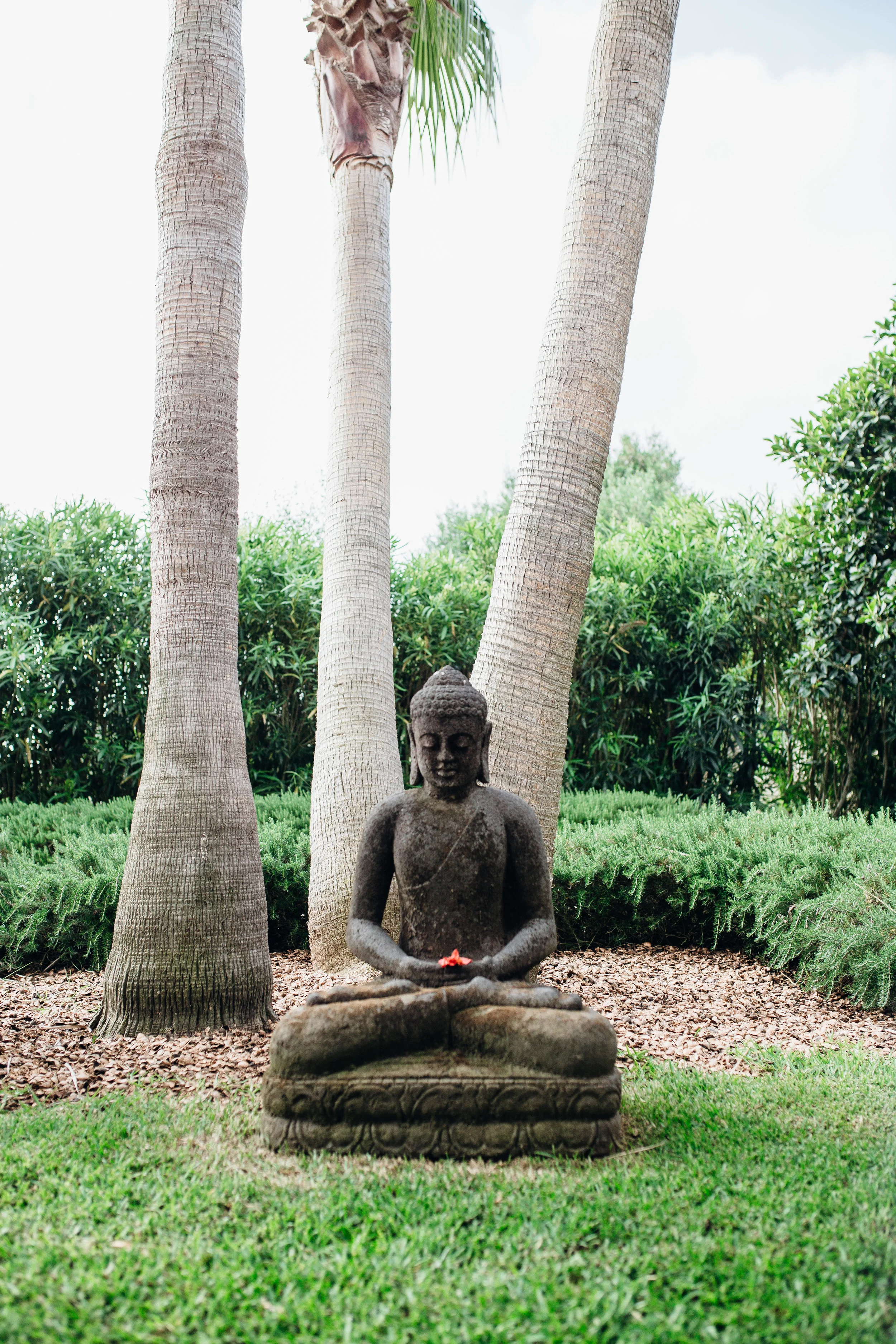 Cal-Reiet-Buddha_MALLORCA_IMG_1340.jpg