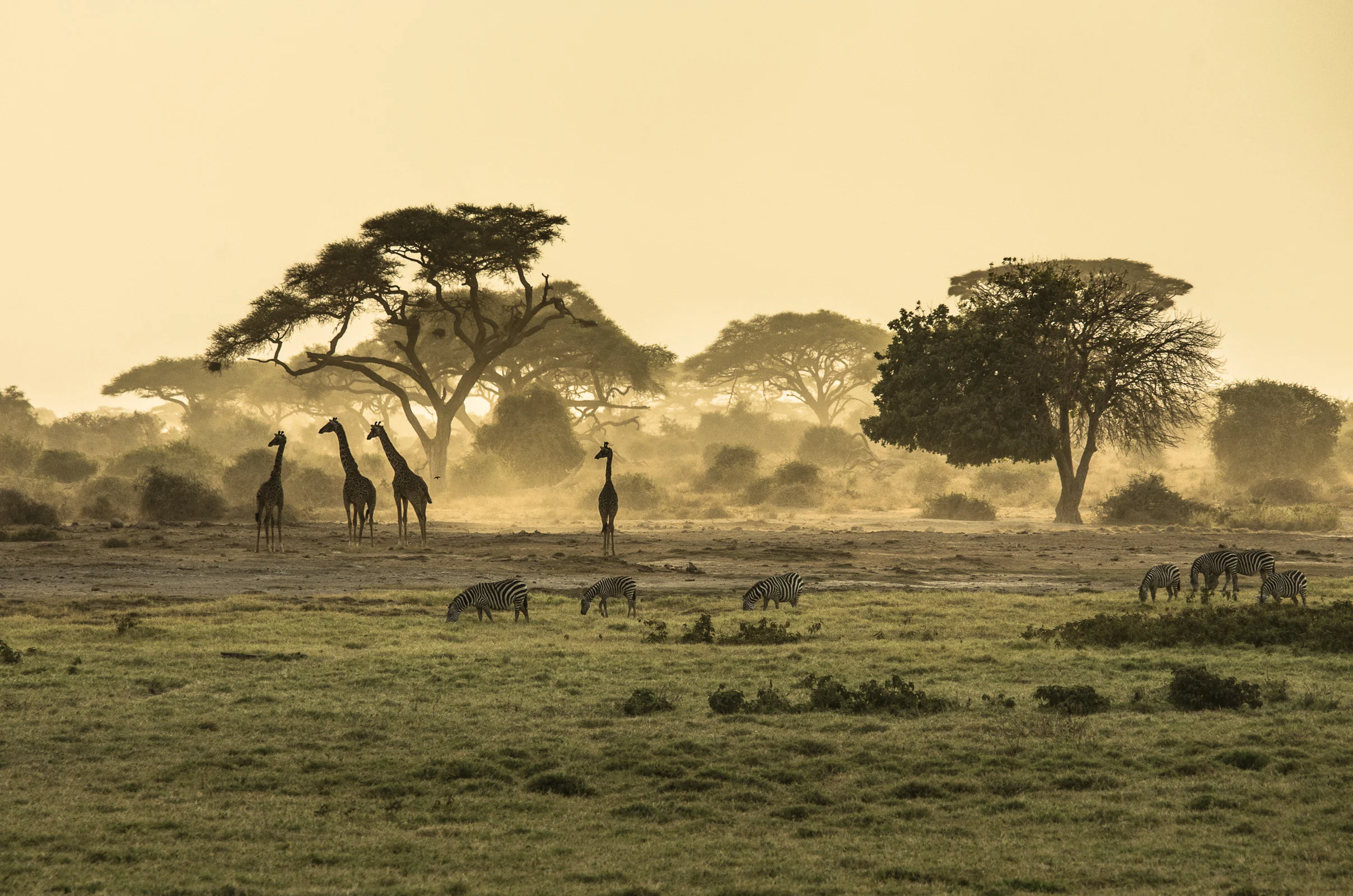 Why you should visit Kenya