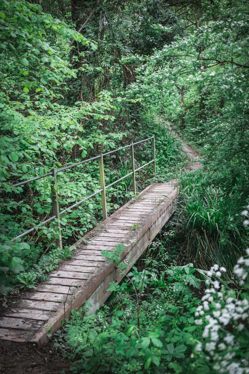 Bridge-on-a-country-walk-in-Kent-06347.jpg