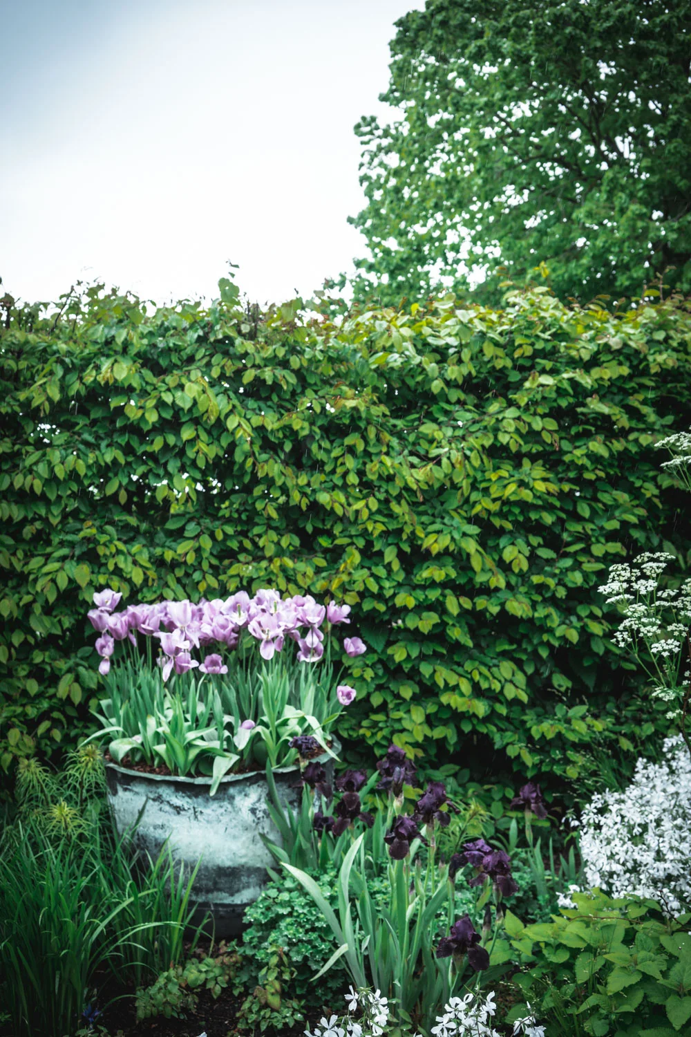 Sissinghurst-Castle-Flower-Pots.jpg