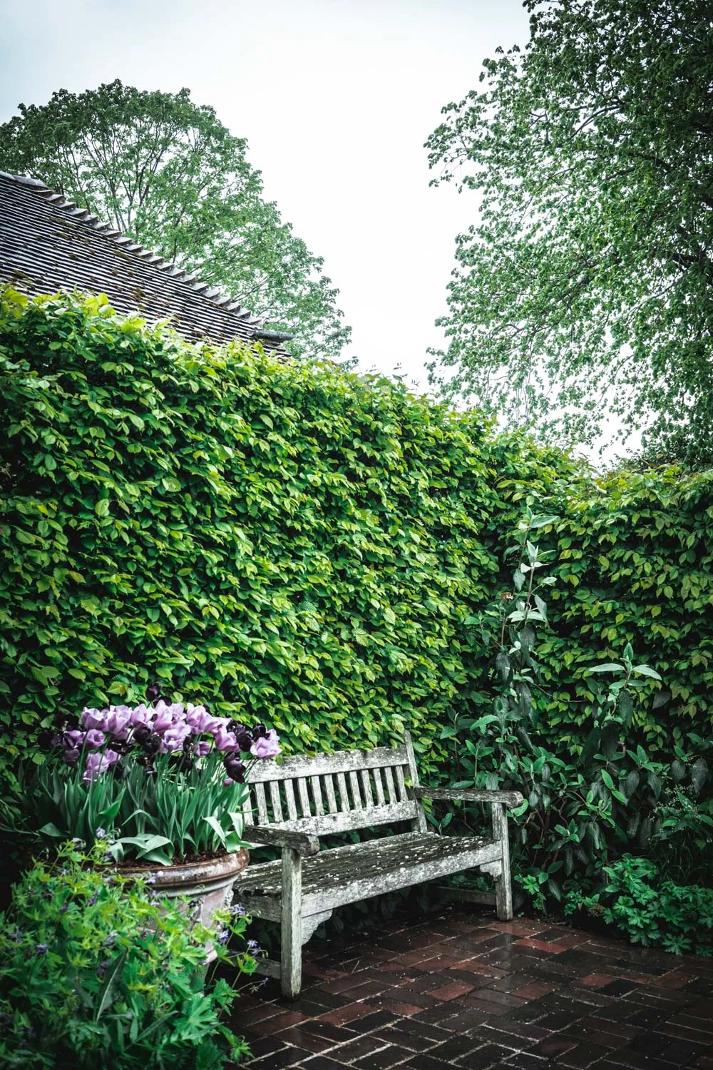 Sissinghurst-Castle-Wooden-Bench.jpg