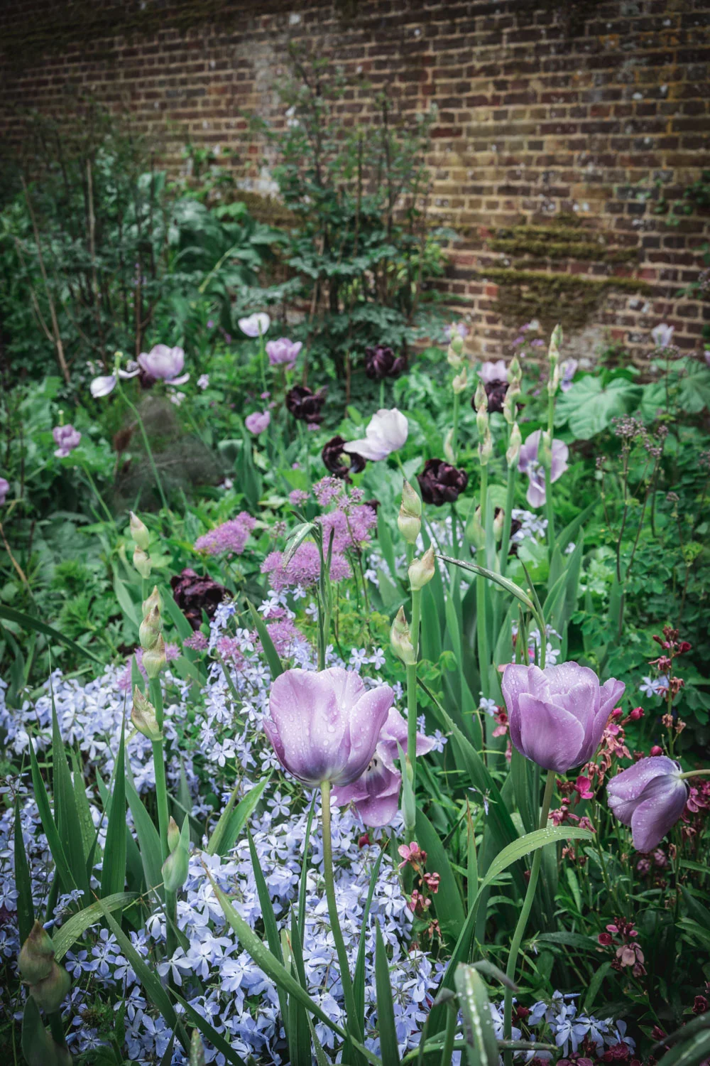 Sissinghurst-Castle-Flowers.jpg