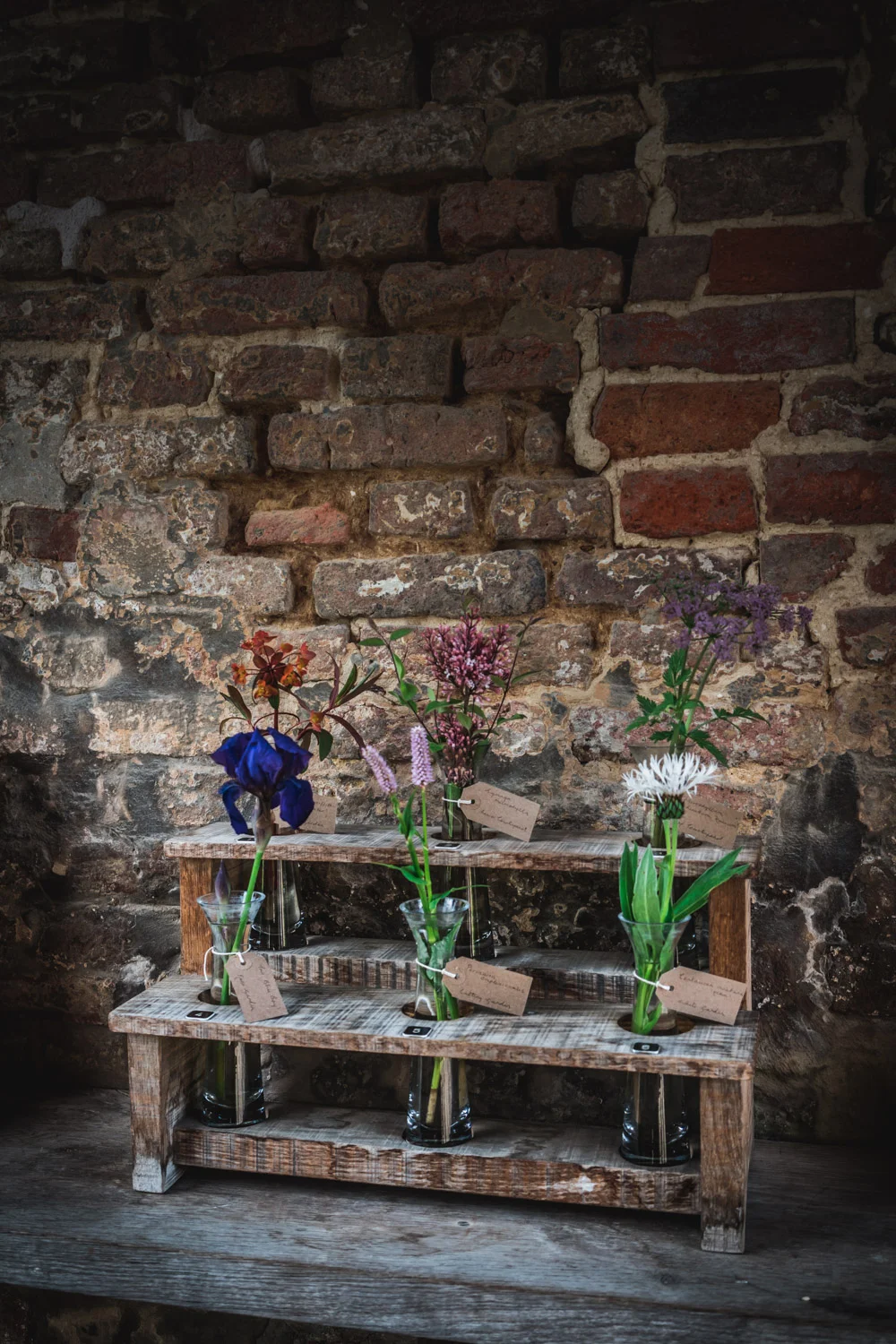 Sissinghurst-Castle-varieties-of-the-month.jpg