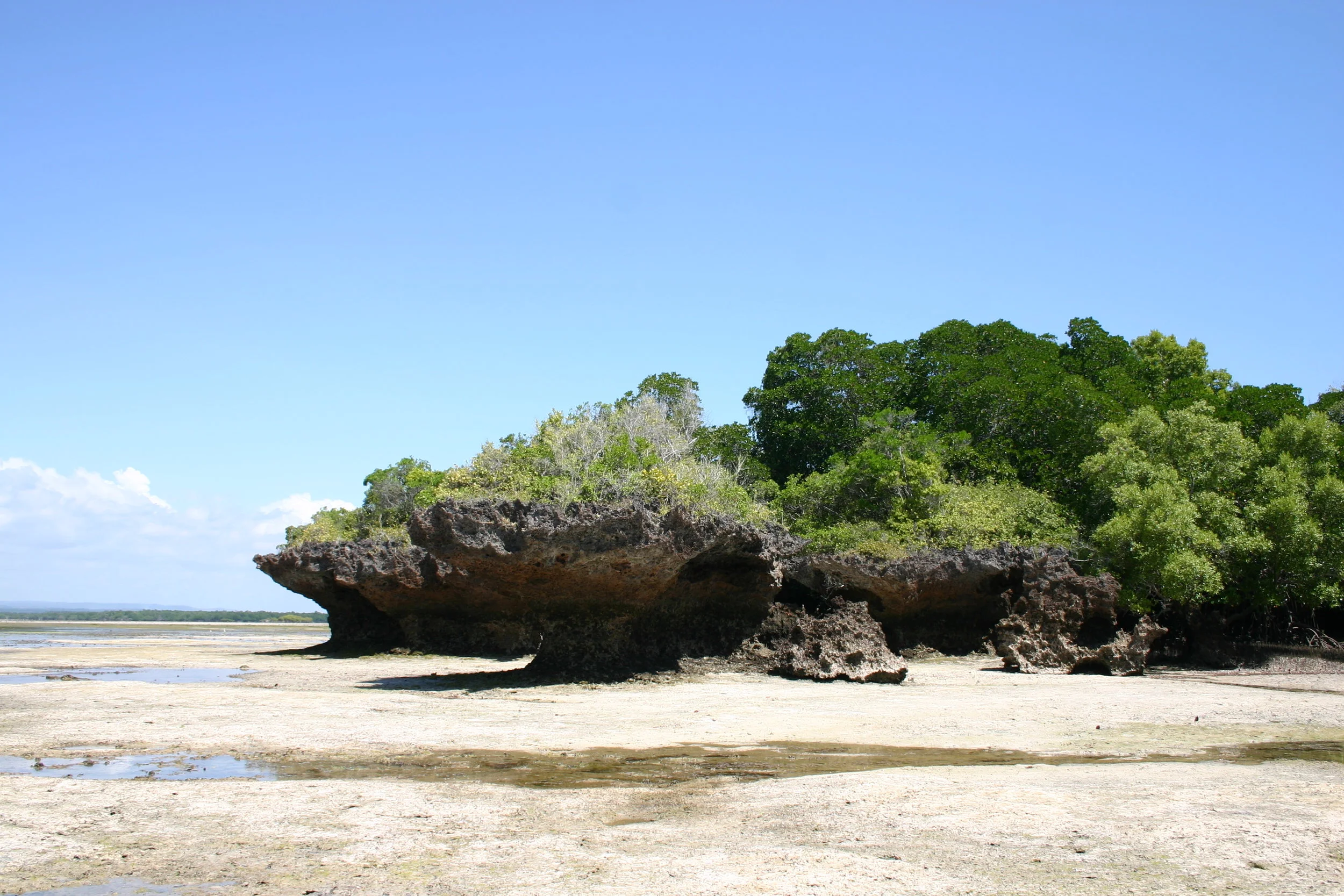 Chale-Island-Beach-Kenya.jpg