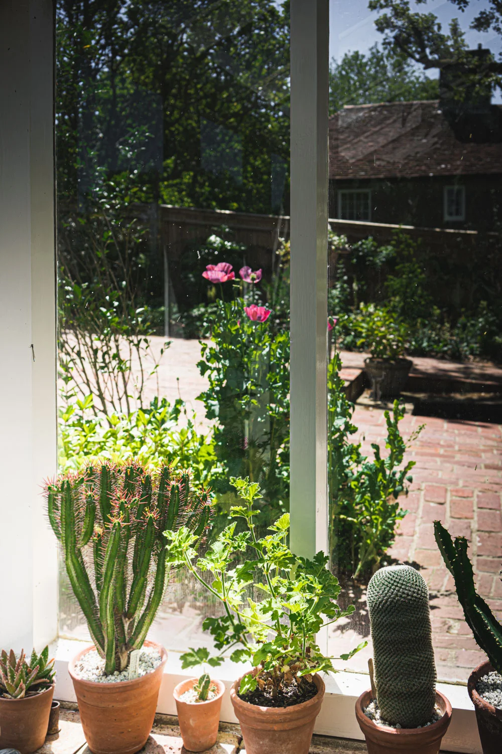 Monk's house-cacti.jpg