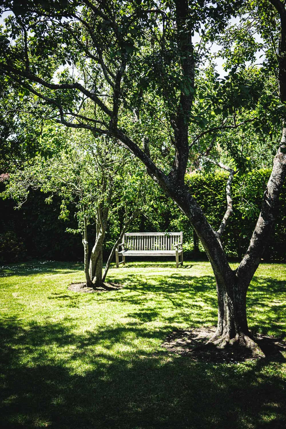 Monk's house-bench-in-the-garden.jpg