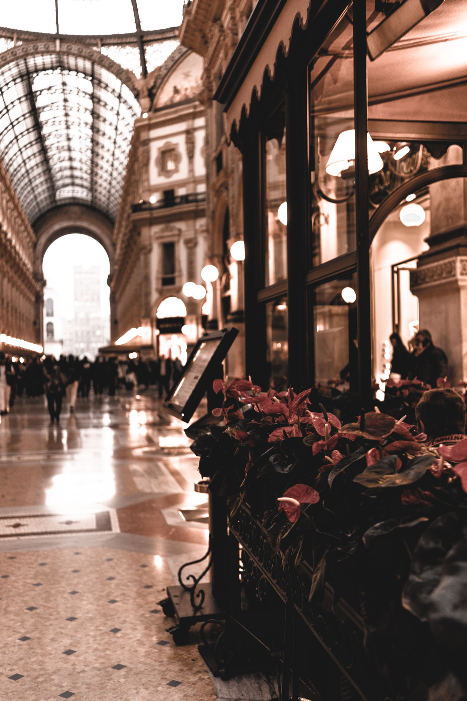 Stefania-Boglioli-Milano-Galleria-Vittorio-Emanuele-Restaurant-Detail.jpg