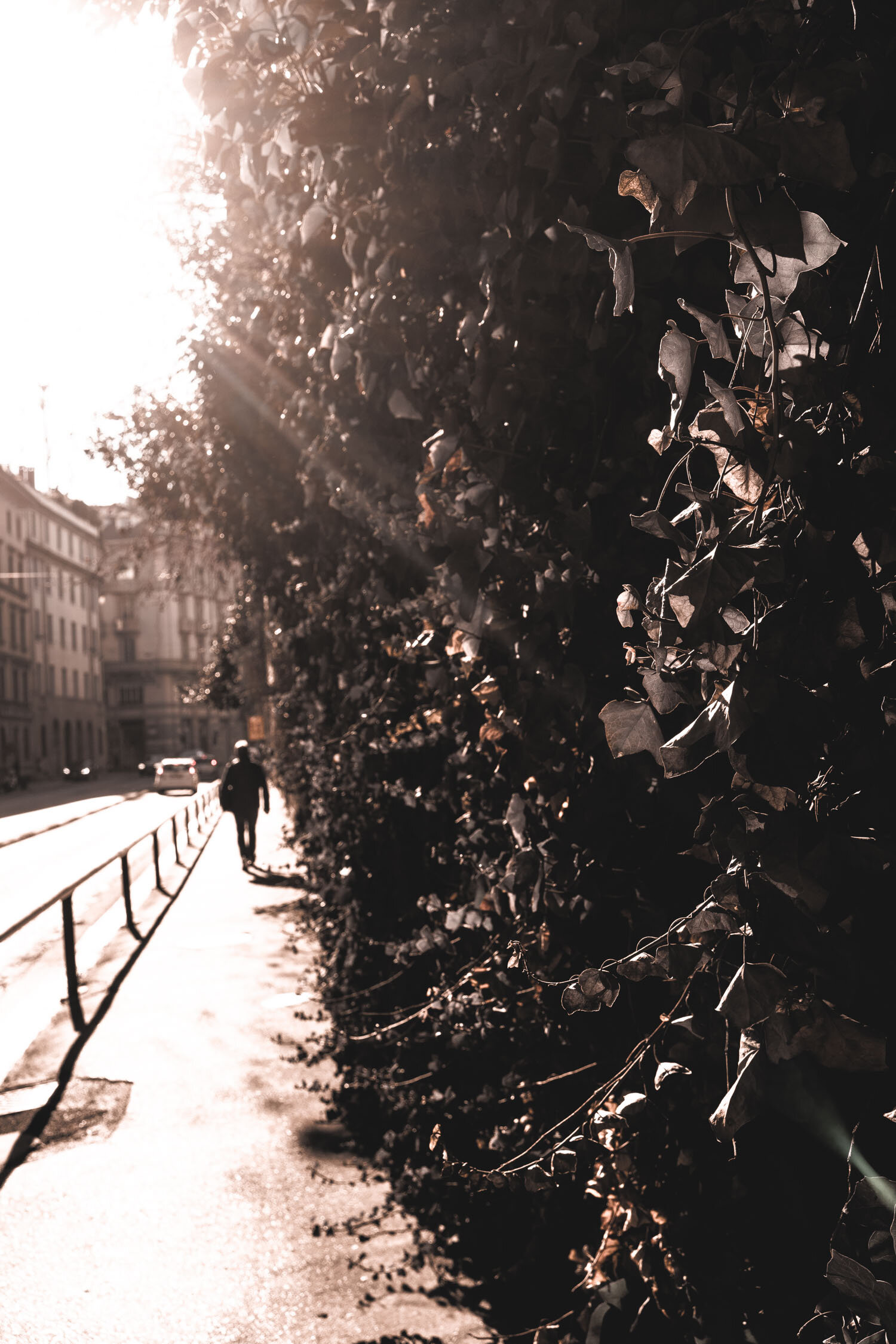 Stefania-Boglioli-Milano-man-walking-via-Francesco-Sforza.jpg