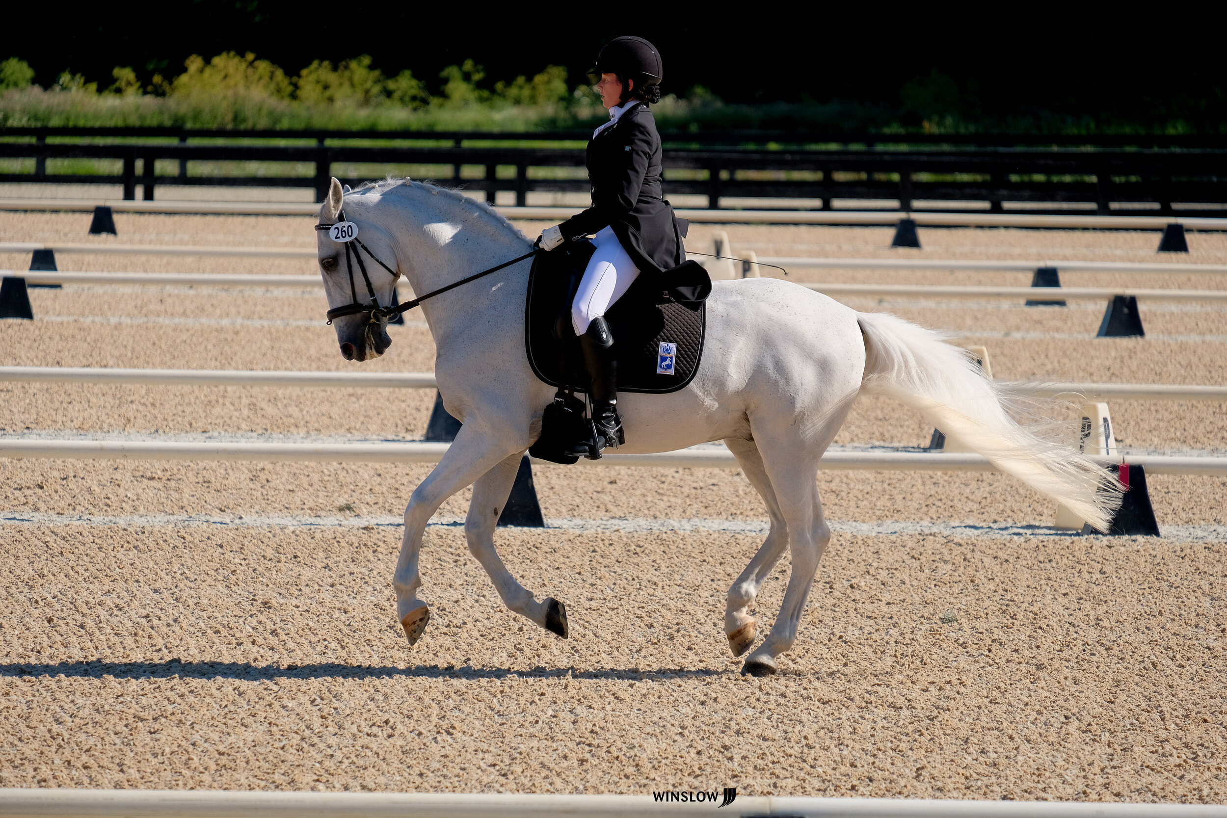  Steph Mussman &amp; Siglavy Aga  Photo credit: Winslow Photography 