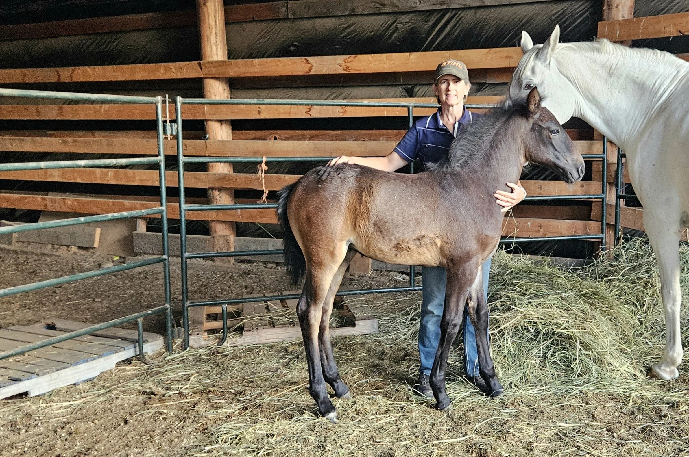 SHAKIRA 2 - LScott.jpg