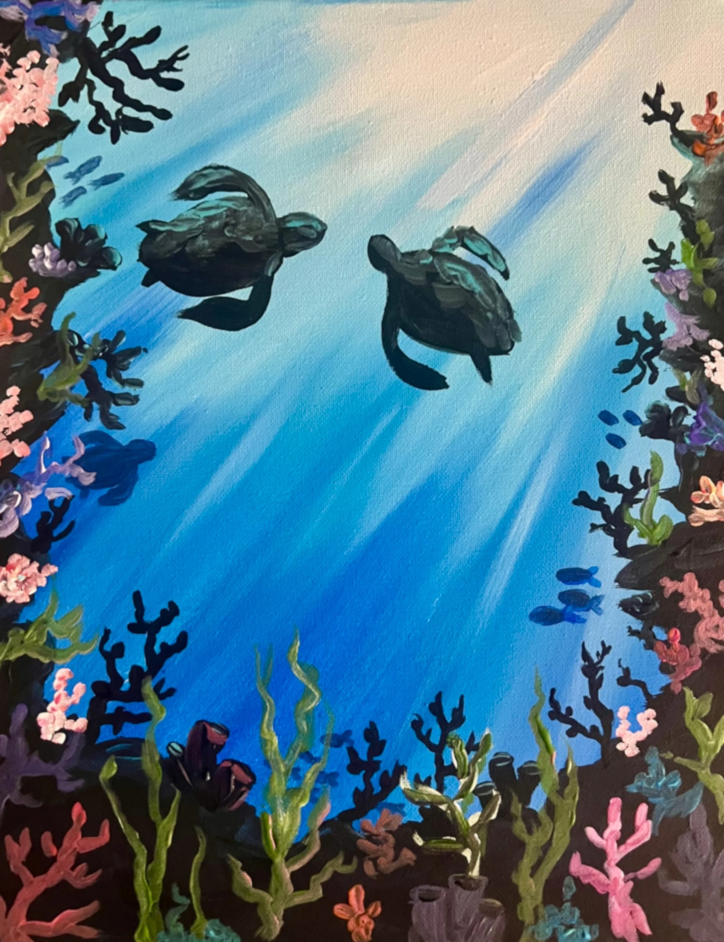 Sea Turtle Cove.jpg