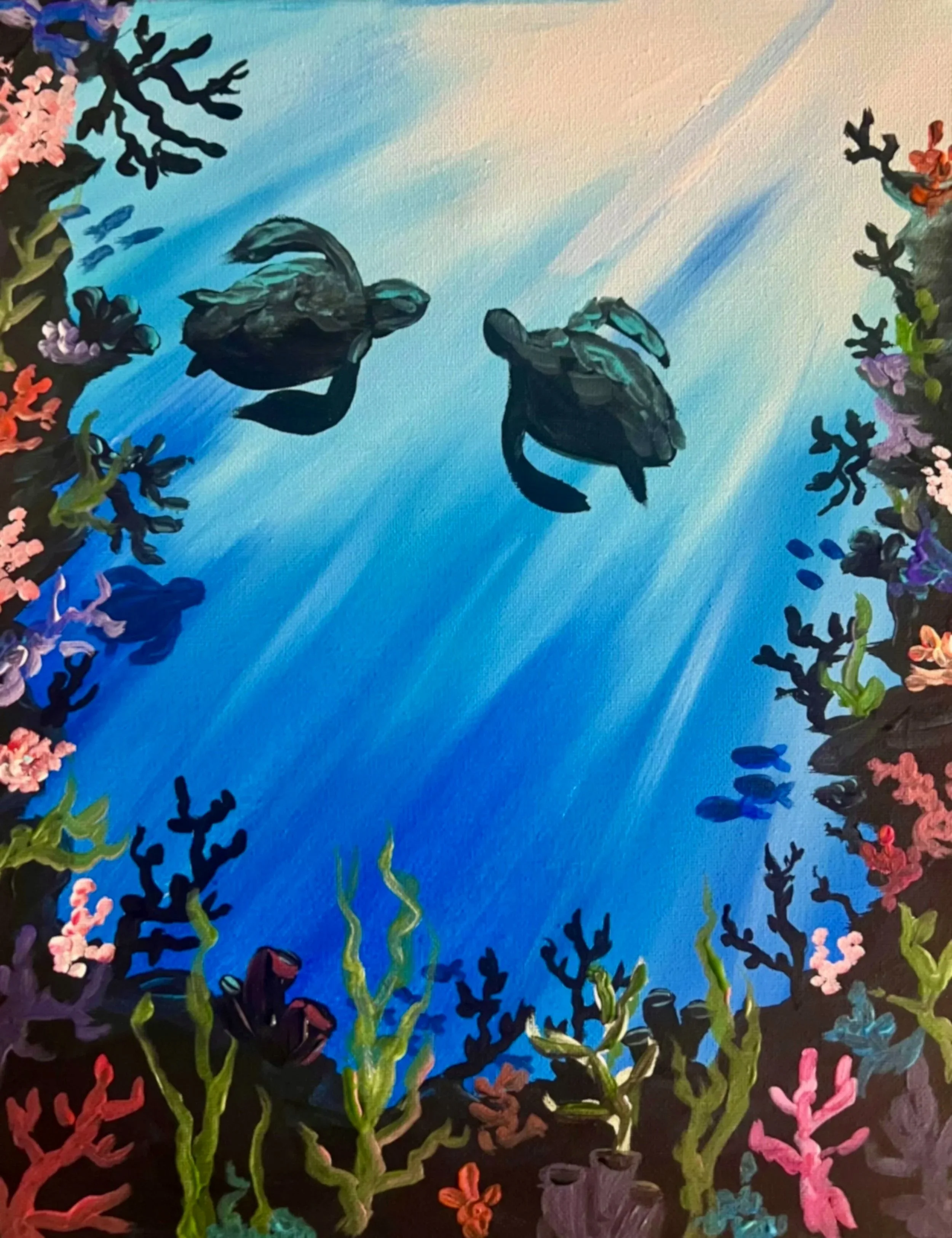 Sea%2BTurtle%2BCove.jpg