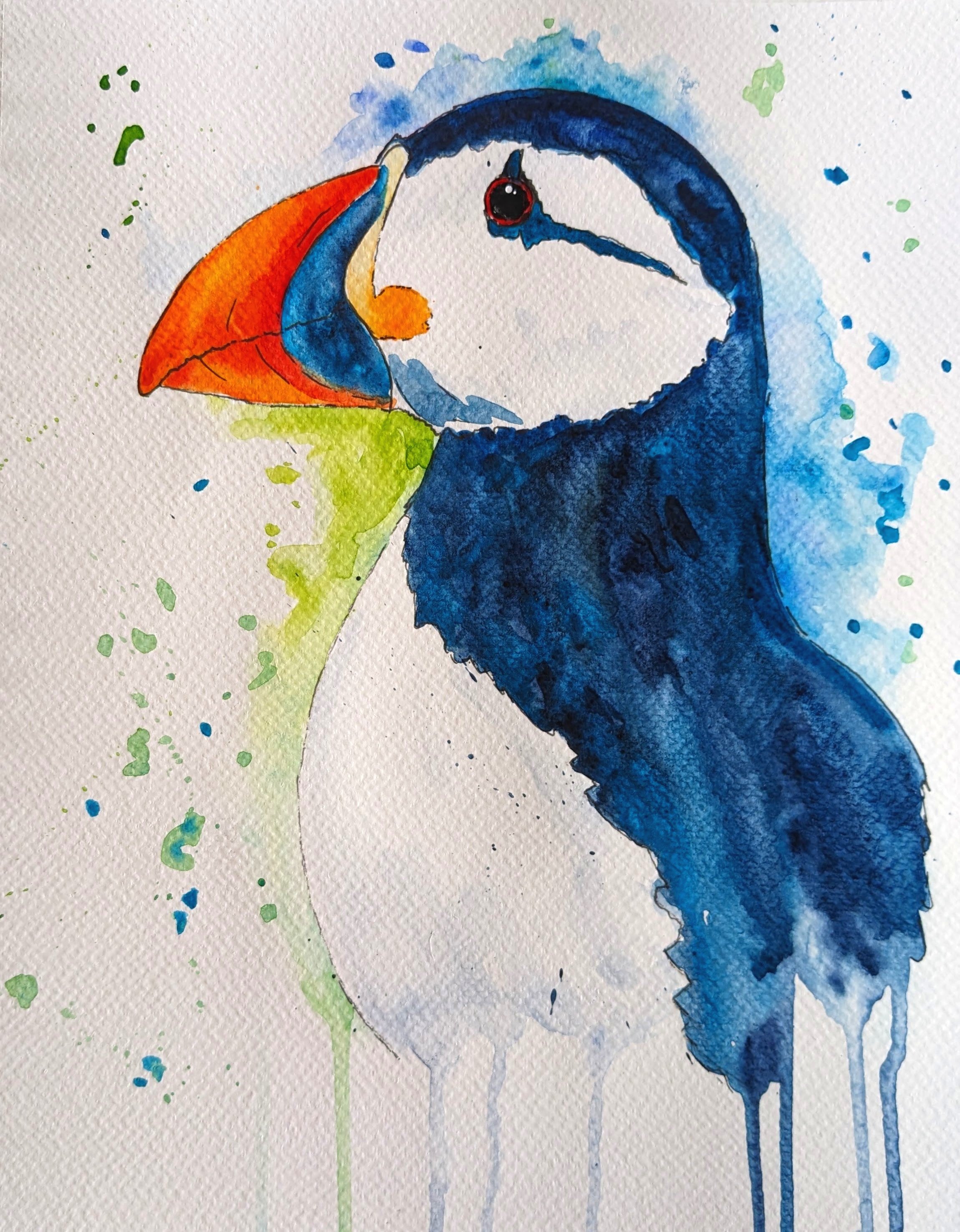 Puffin.jpg