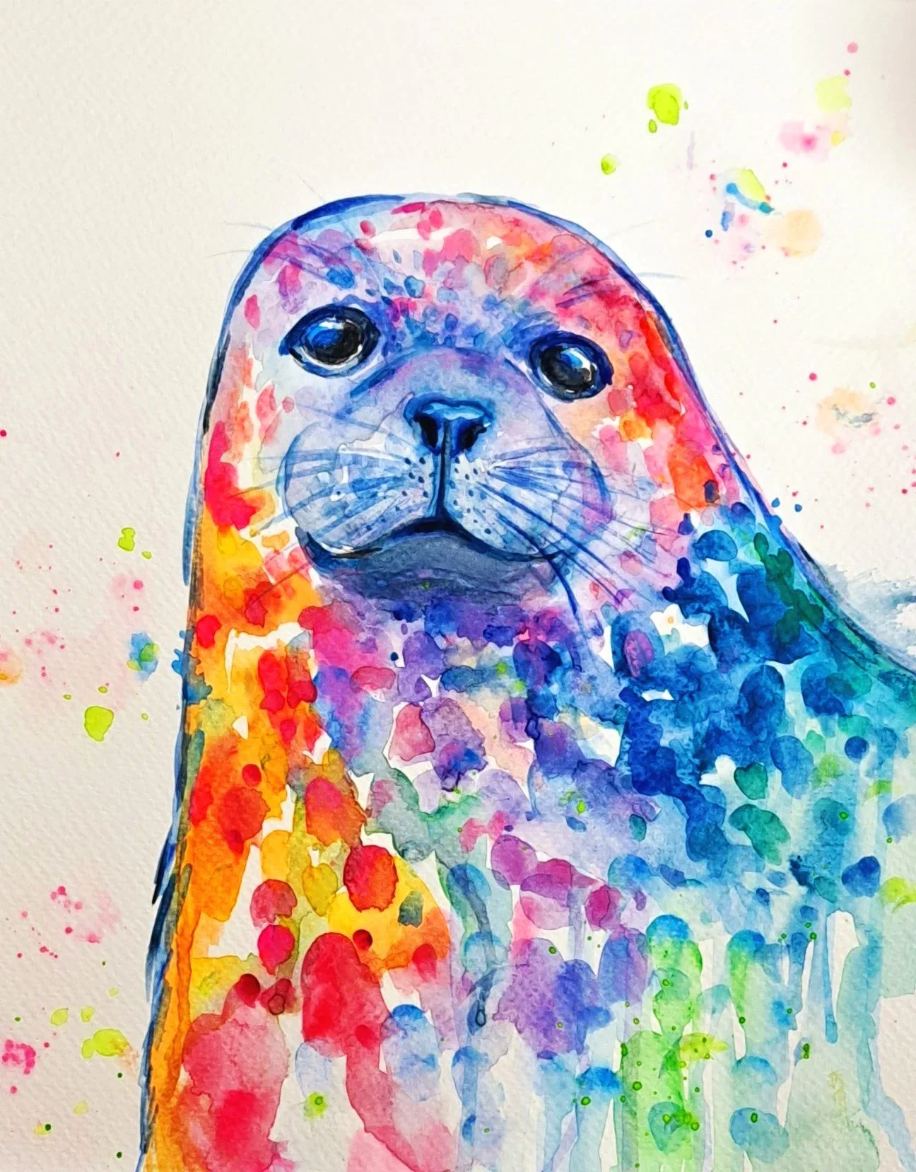 Rainbow+Seal.jpg