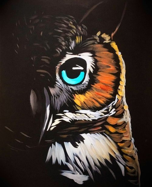 Midnight Owl (2).jpg