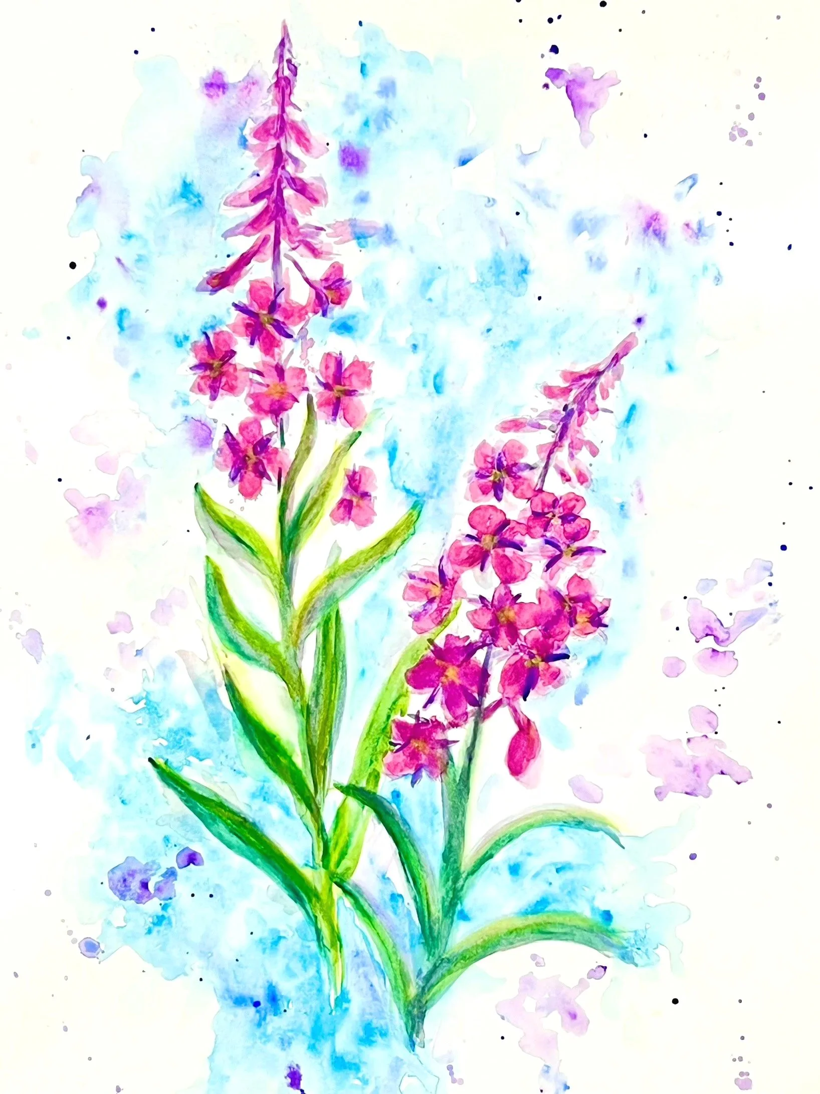 Watercolor+Fireweed.jpg
