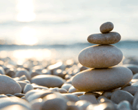 banner5.gif