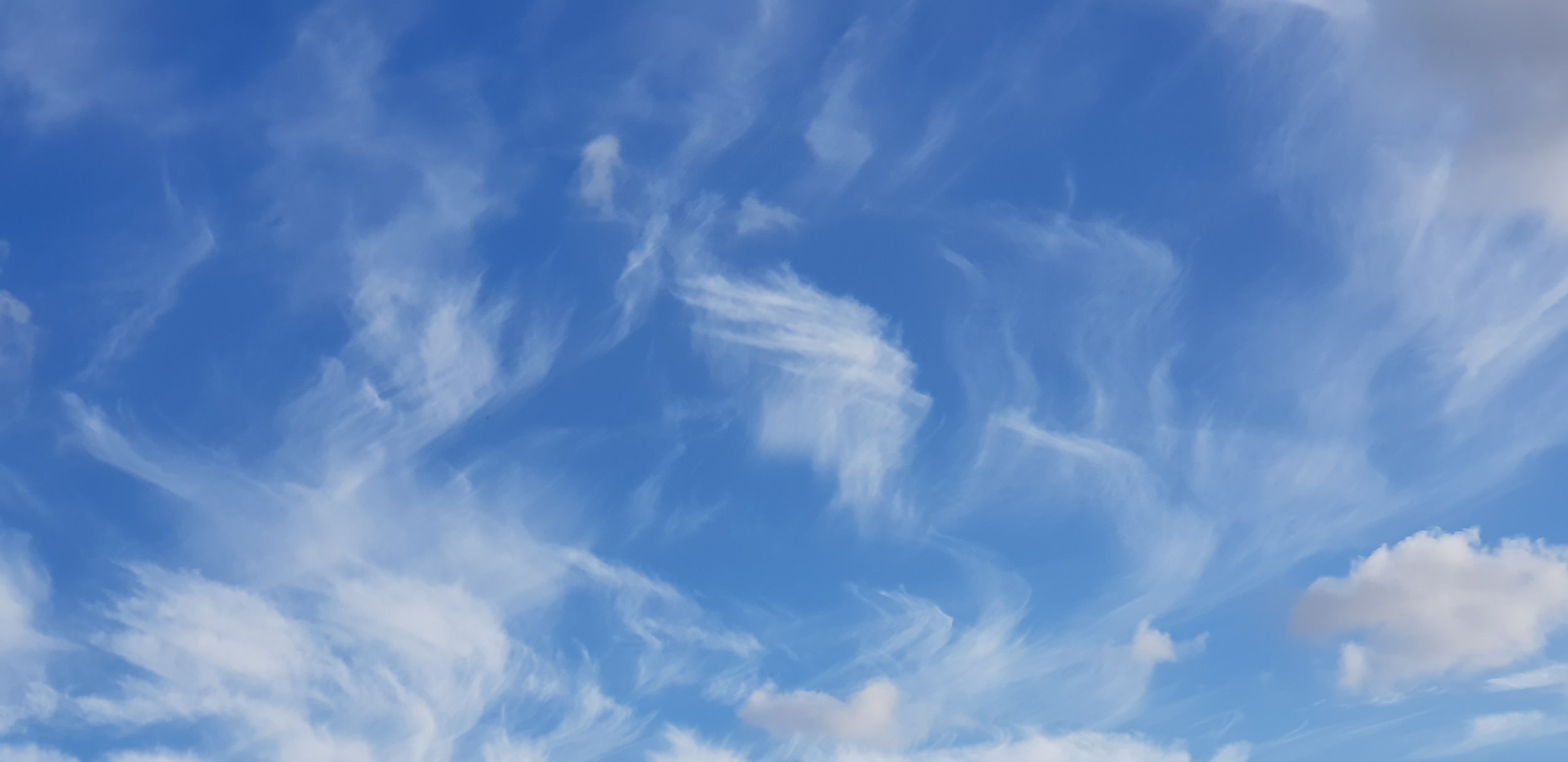 2018-03-22 06.59.44.jpg