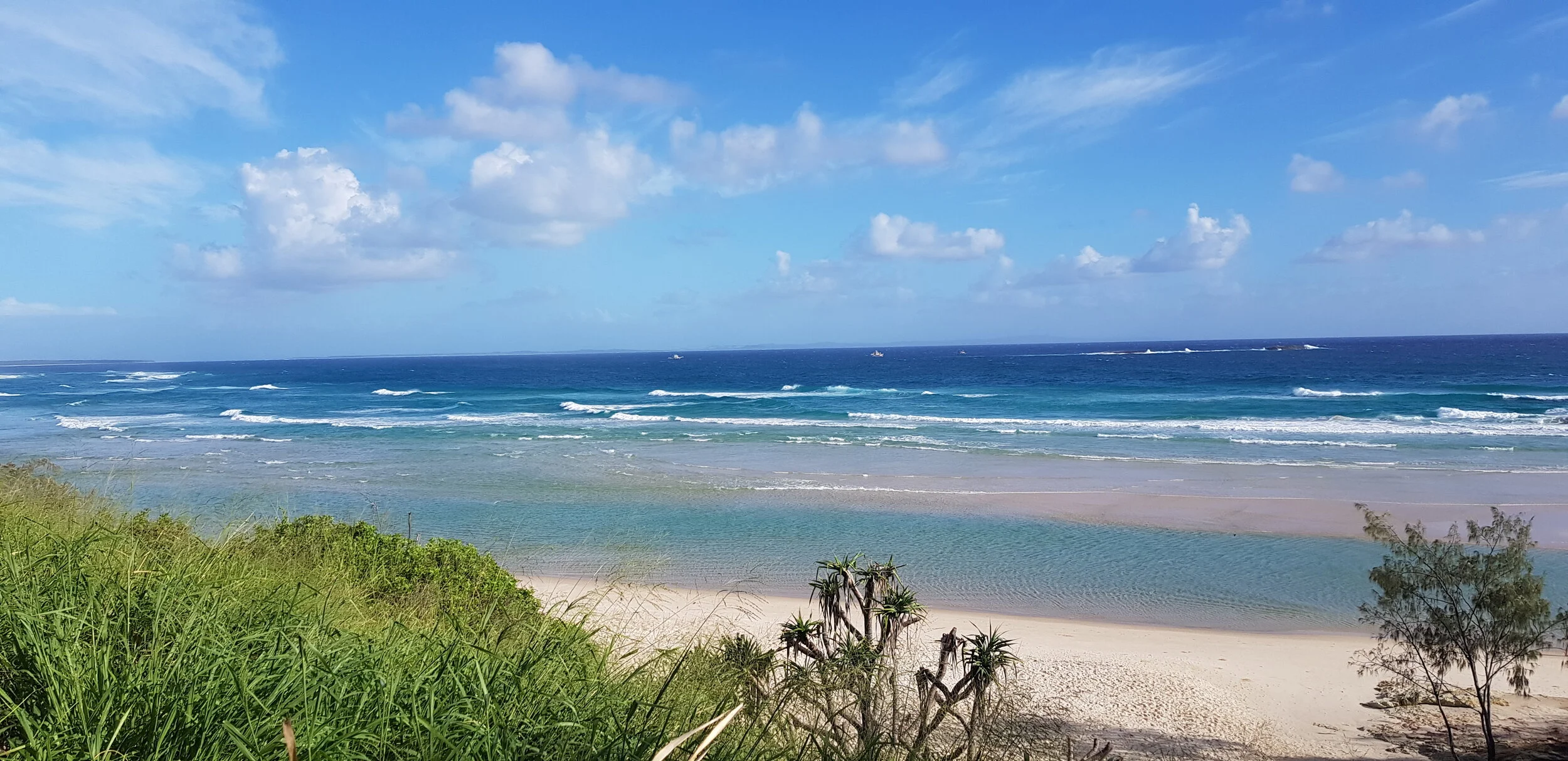 2018-03-22 07.50.36.jpg