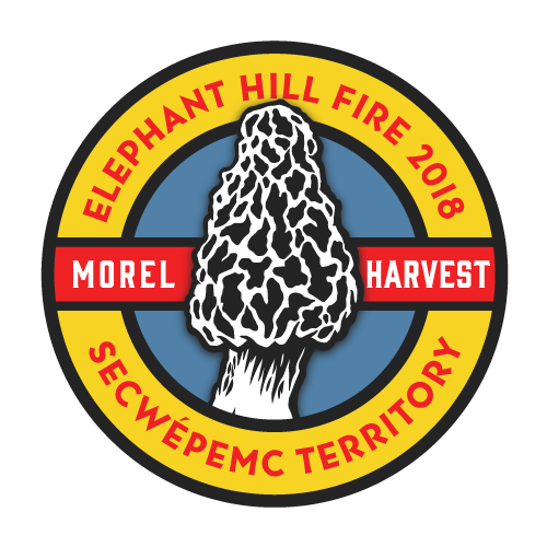 FstFds_ElephantHill_Morel.Harvest_01.png