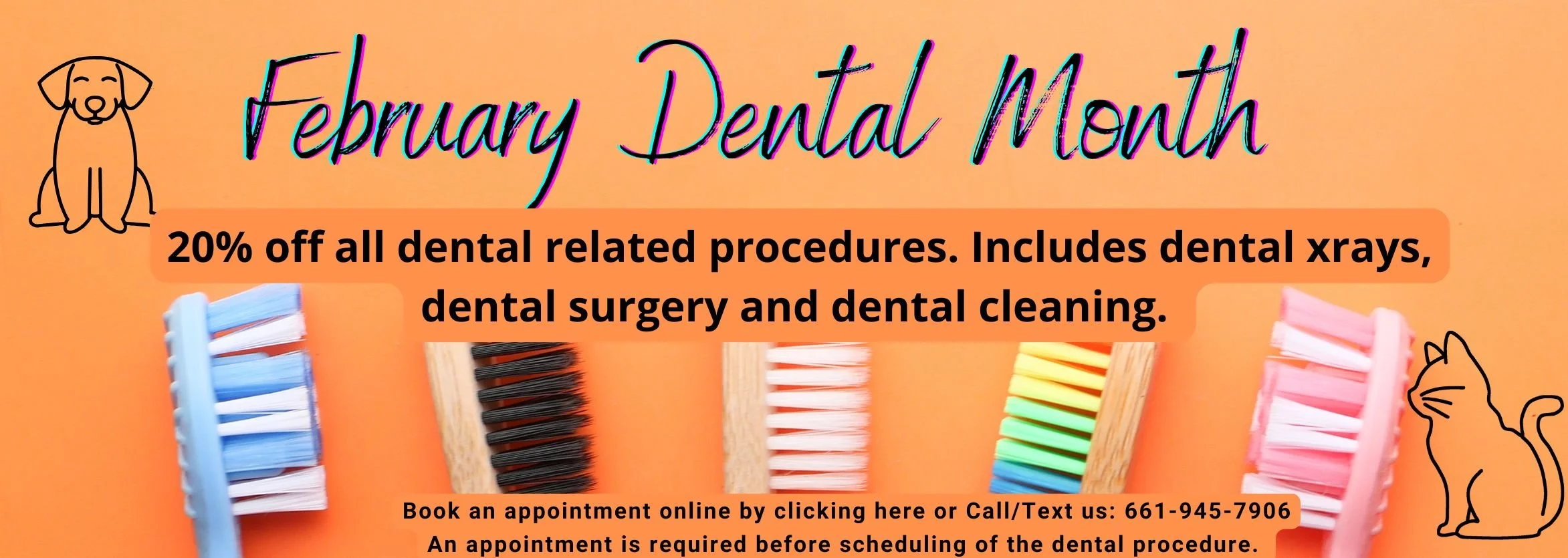 Dental Solution (2345 × 835 px).jpg