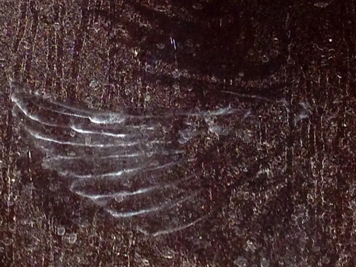 Angel on my window...