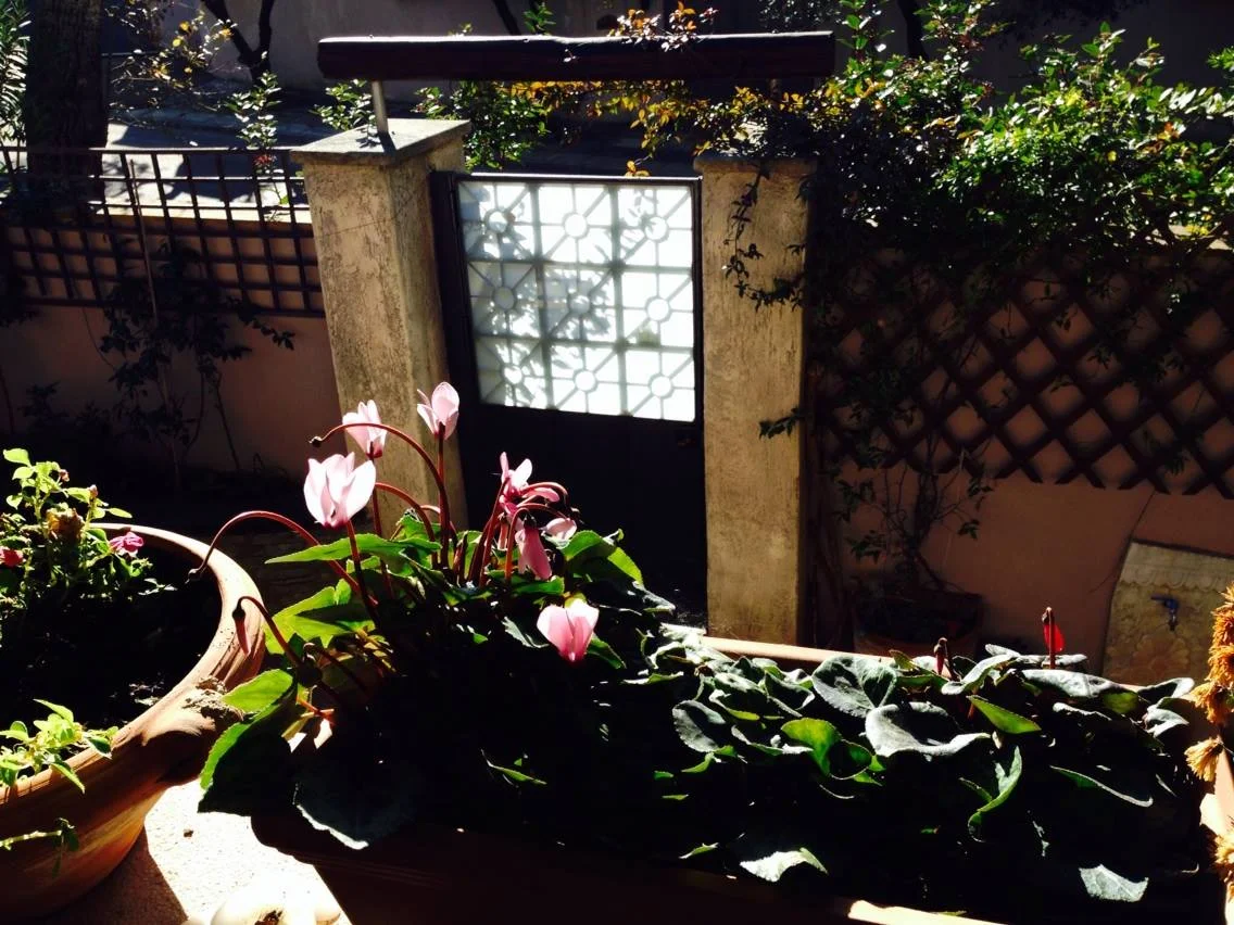 Home sweet afternoon
