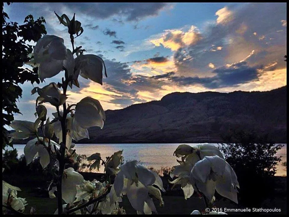 Kamloops BC