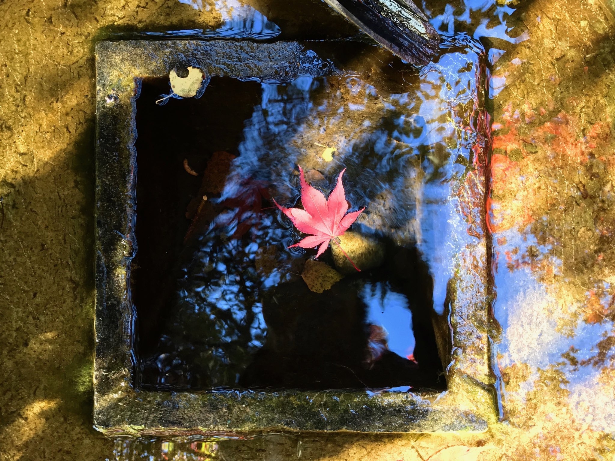 Photo: Emmanuelle Stathopoulos
