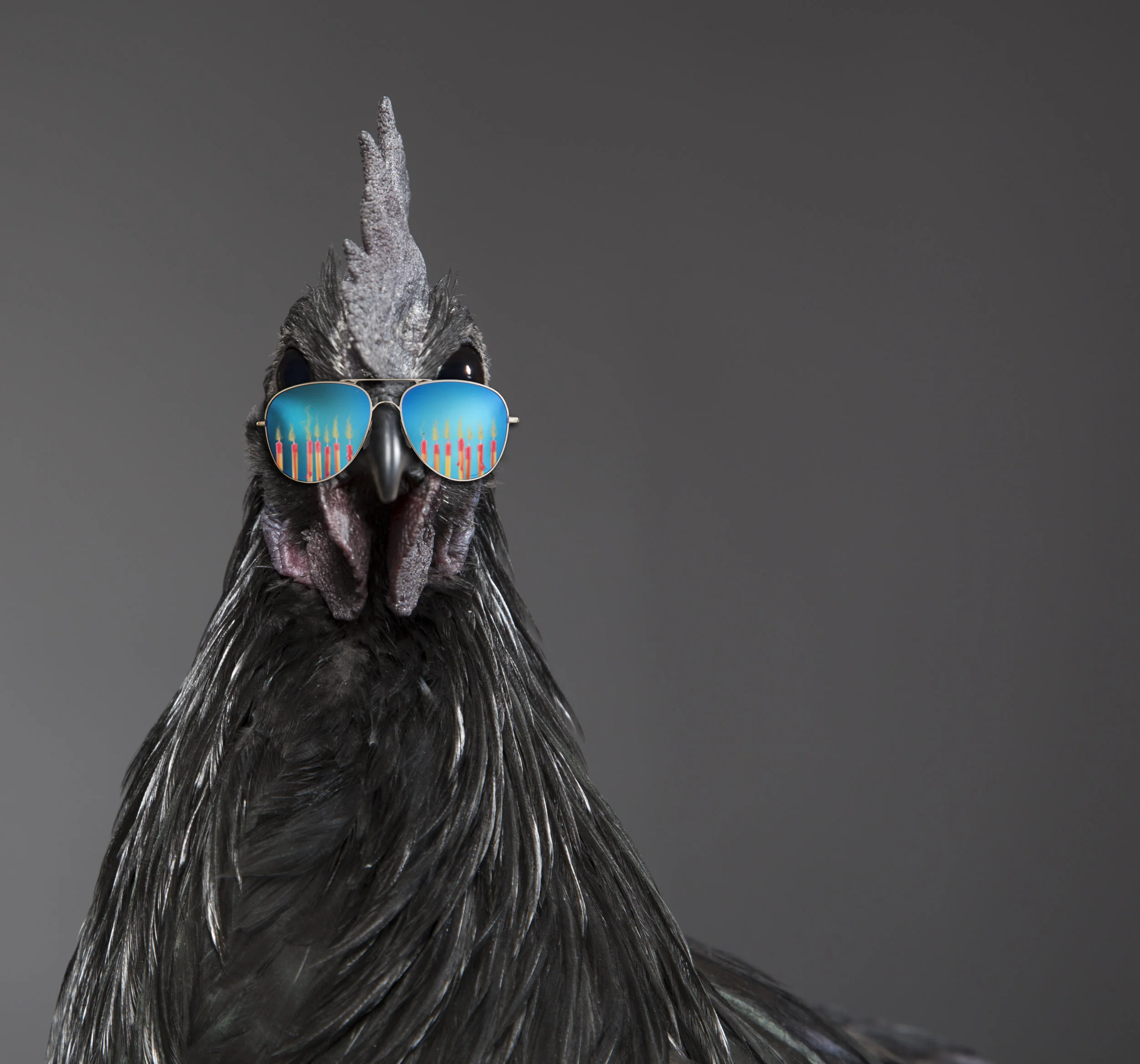 Ashton MArtin - "Happy Birthday Spring Chicken"