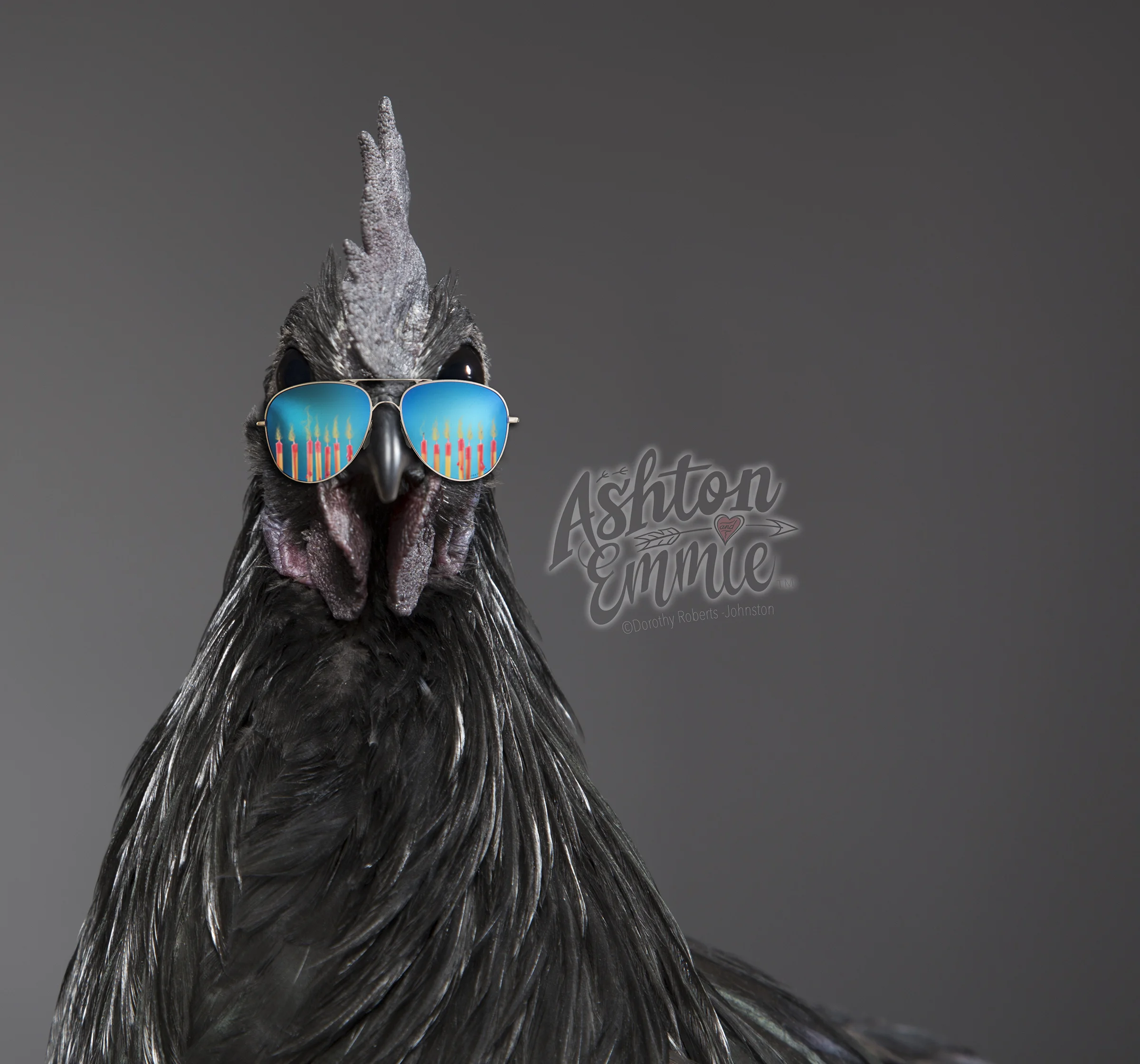 still a spring chicken