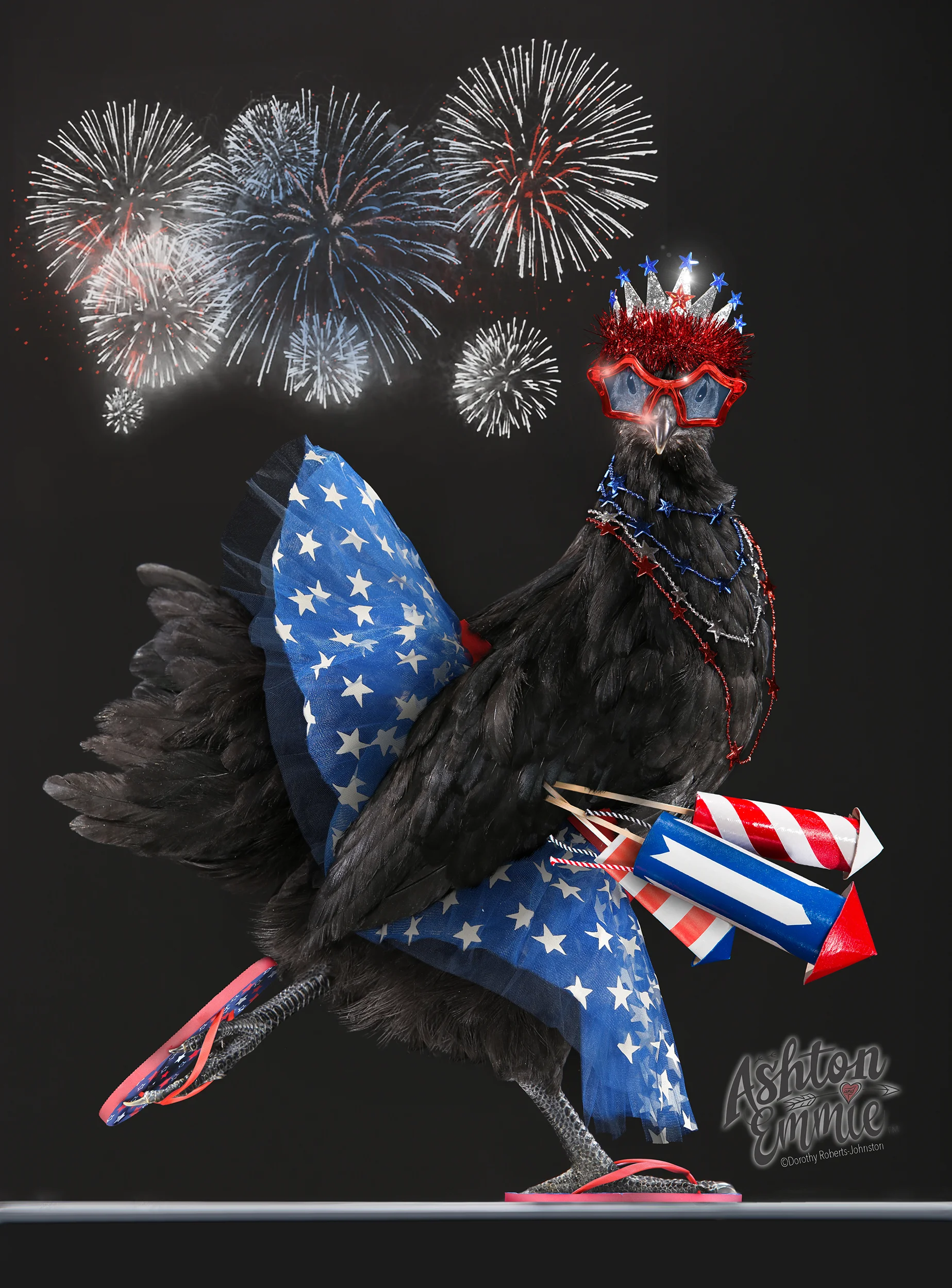 Svart Hona Pullet - Fire Cracker
